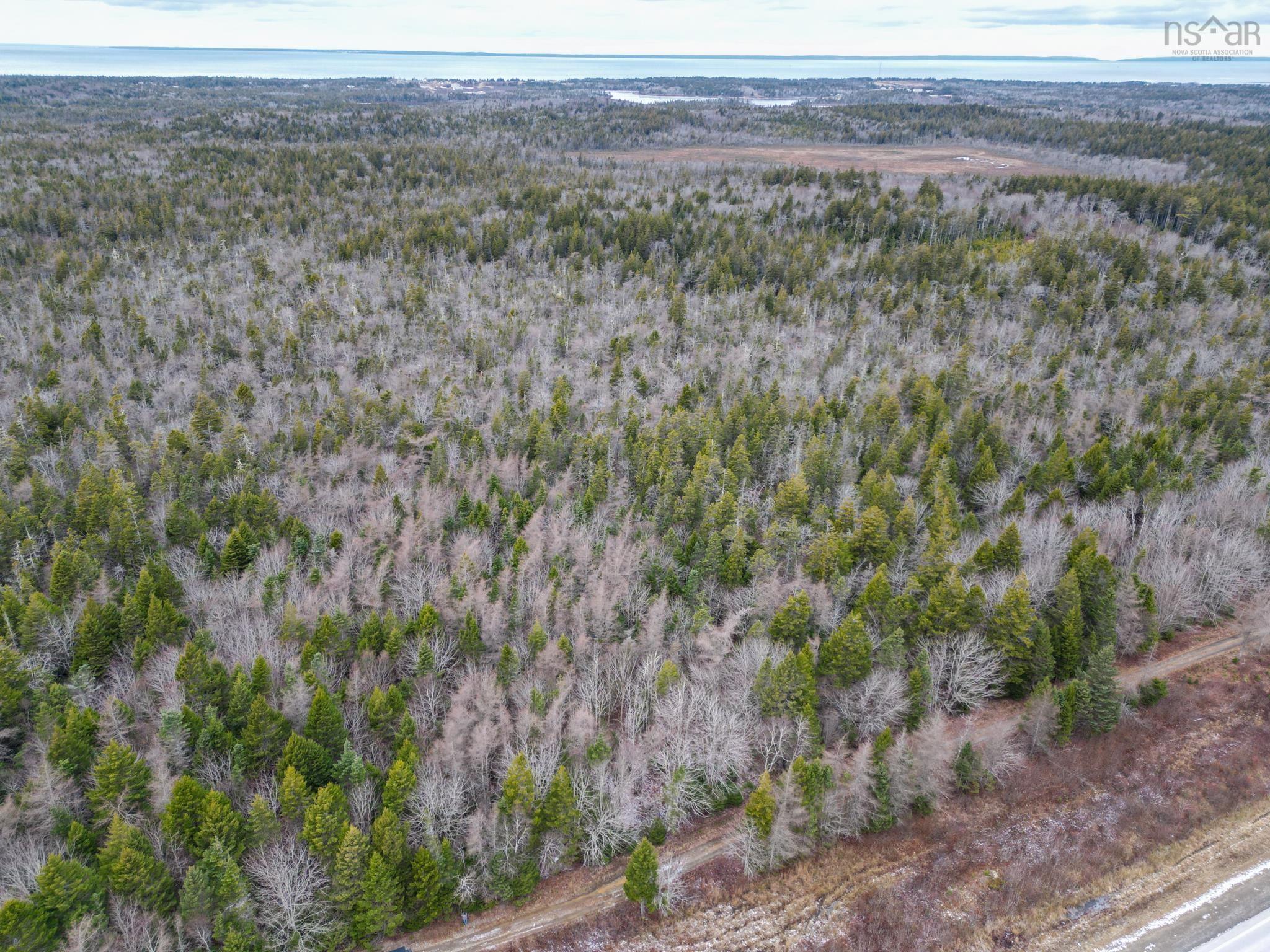 $20,000.00: Lot Highway 101, St. Alphonse