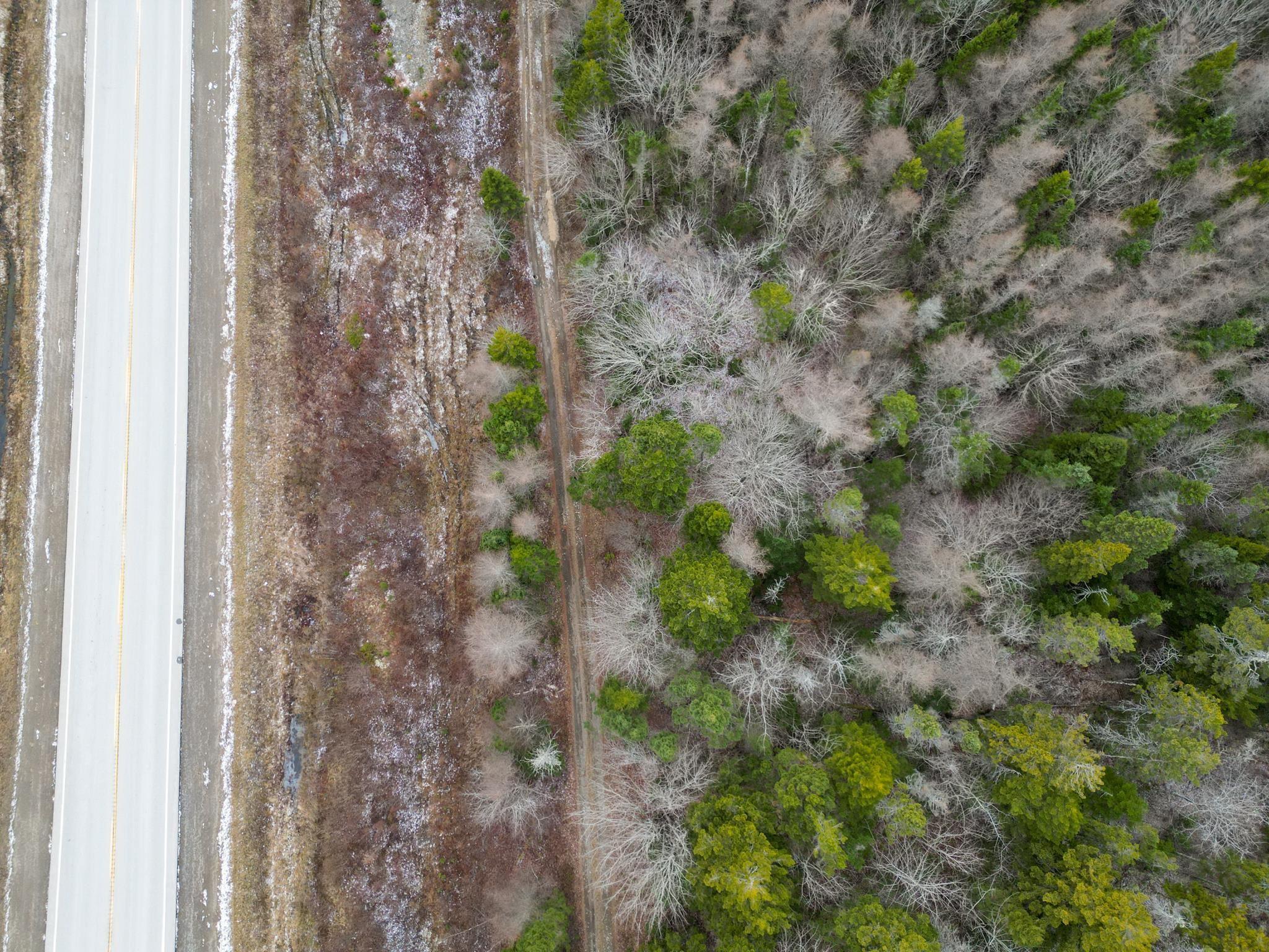 $20,000.00: Lot Highway 101, St. Alphonse