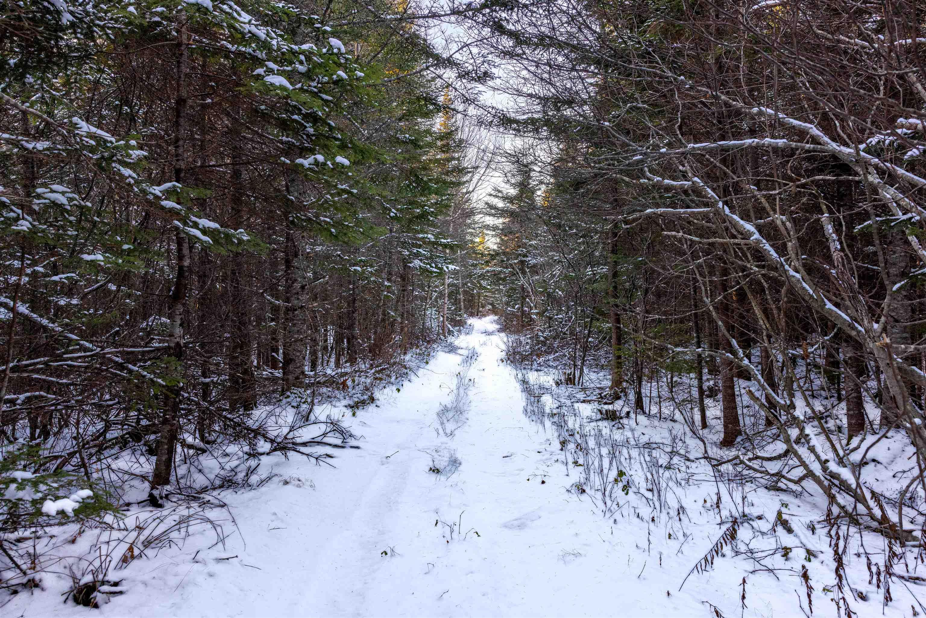 $29,900.00: 1682 Sonora Road, Sherbrooke