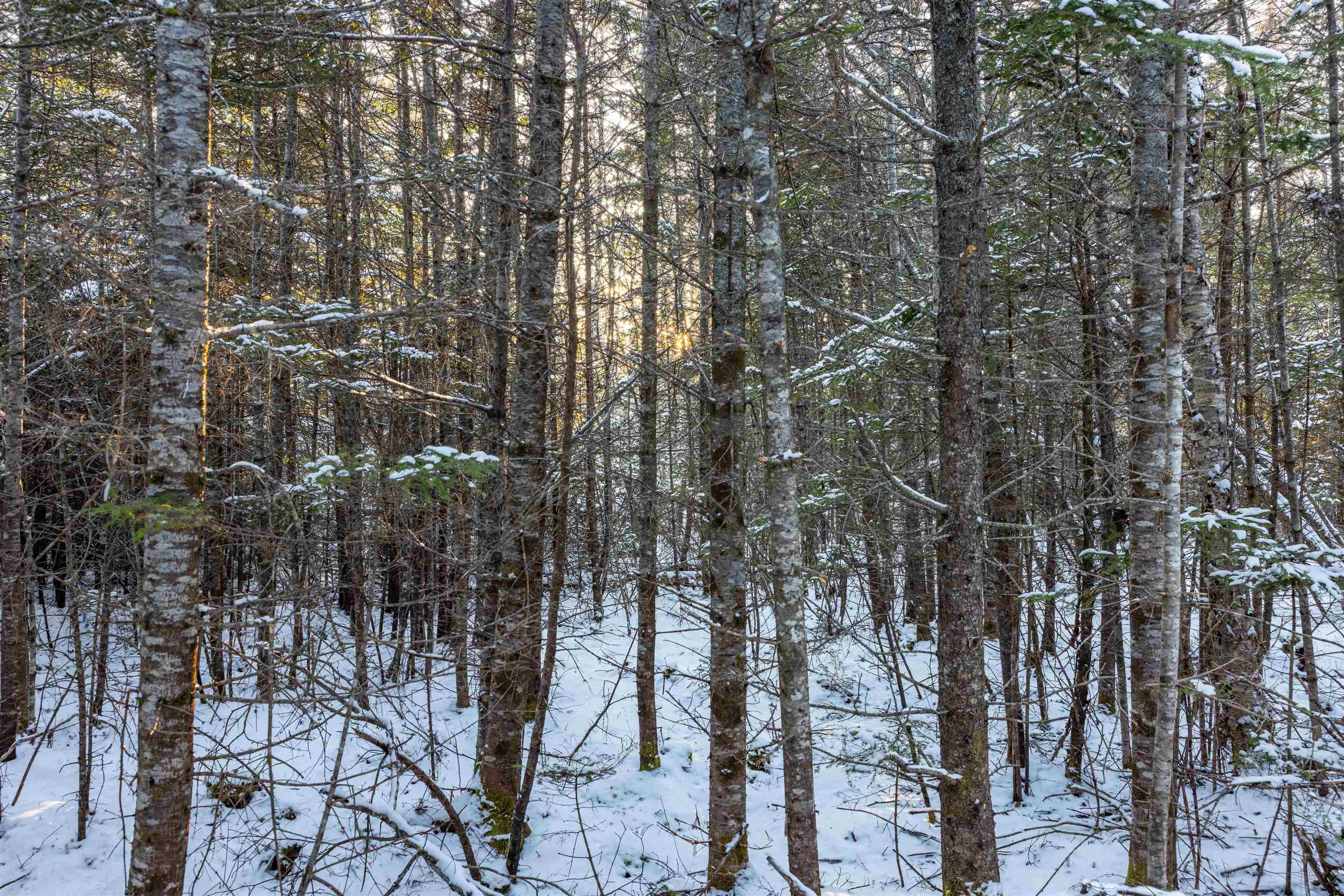 $29,900.00: 1682 Sonora Road, Sherbrooke