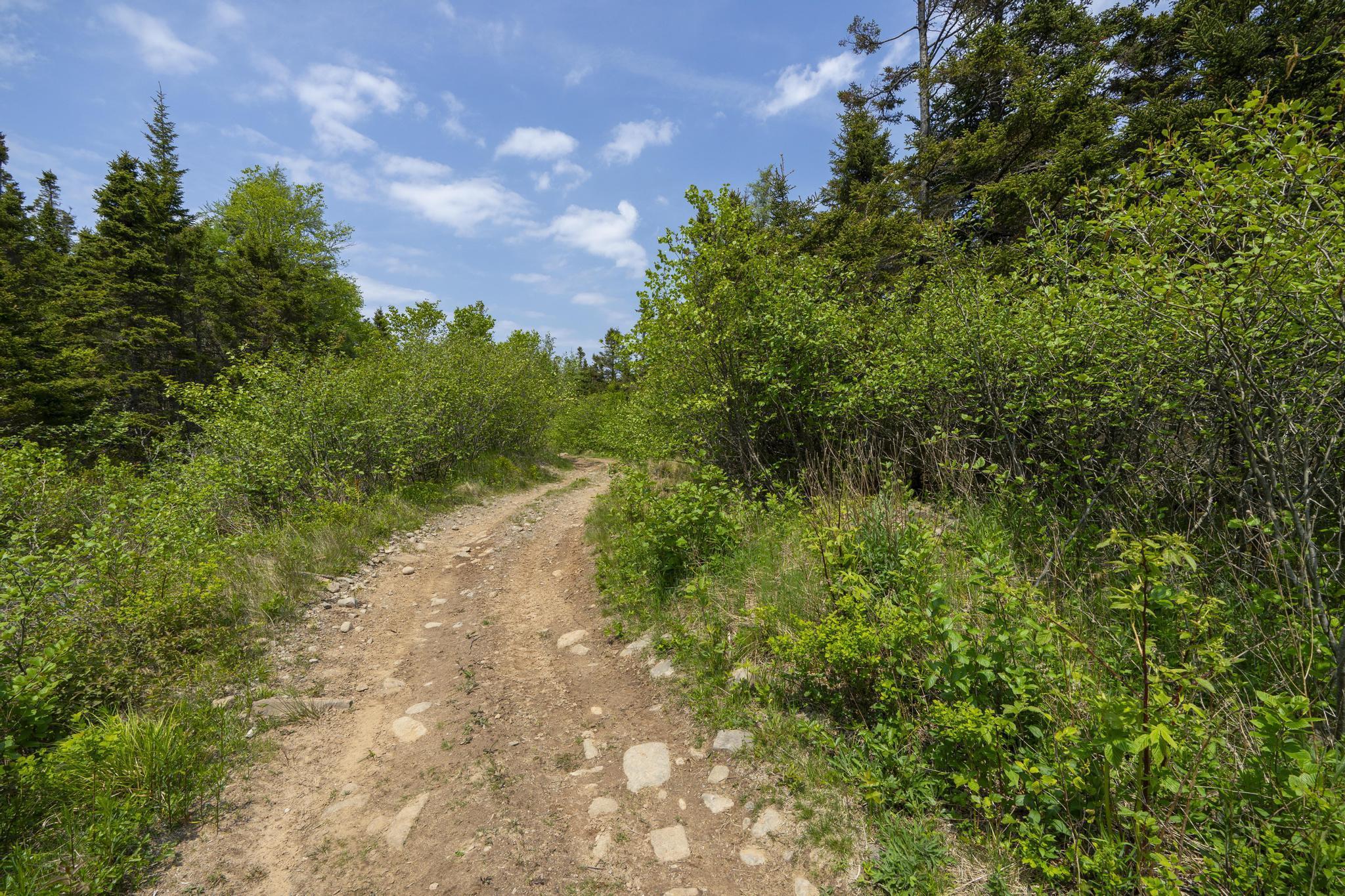 $49,000.00: Lot 8 South View Drive, Freeport