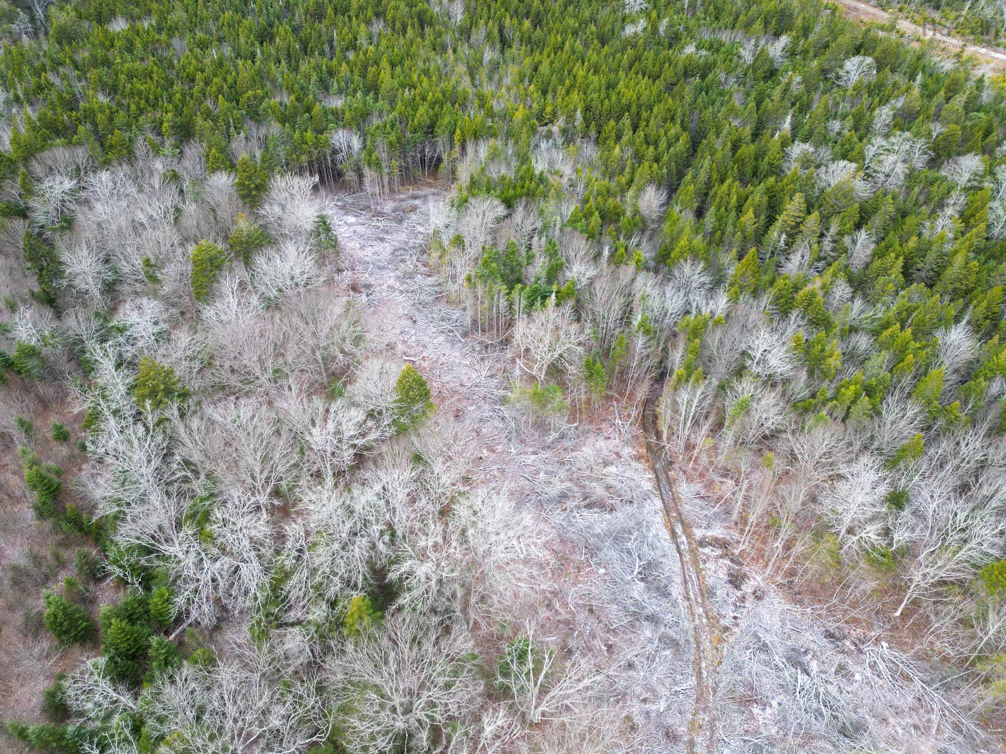 $35,000.00: Lot Peter LeBlanc Road, St. Alphonse