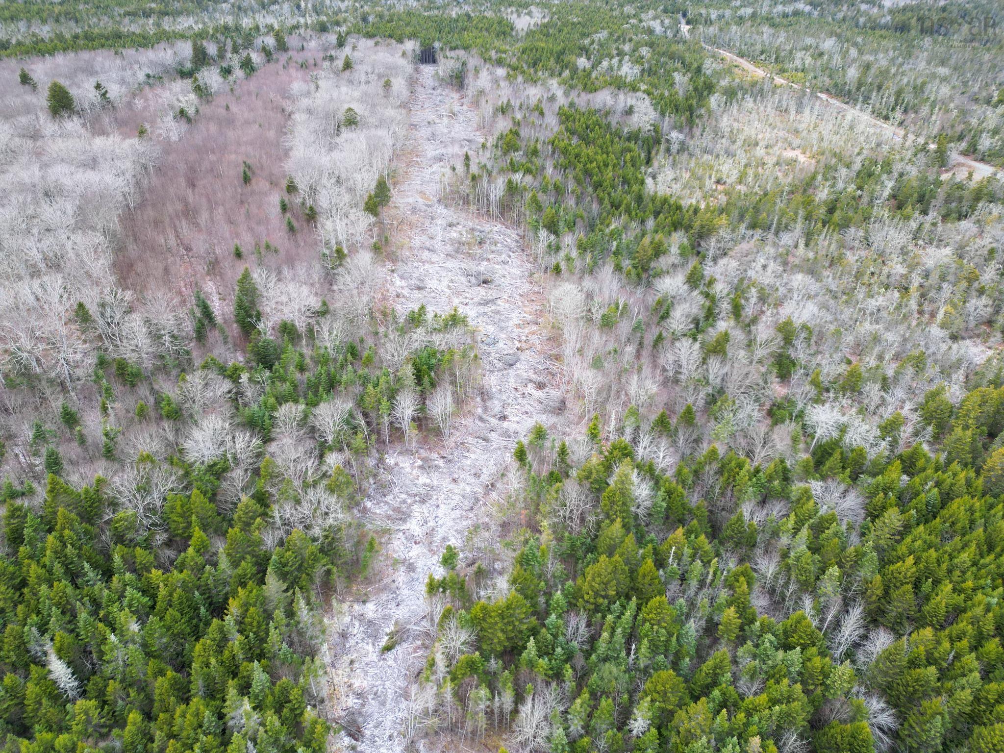 $35,000.00: Lot Peter LeBlanc Road, St. Alphonse