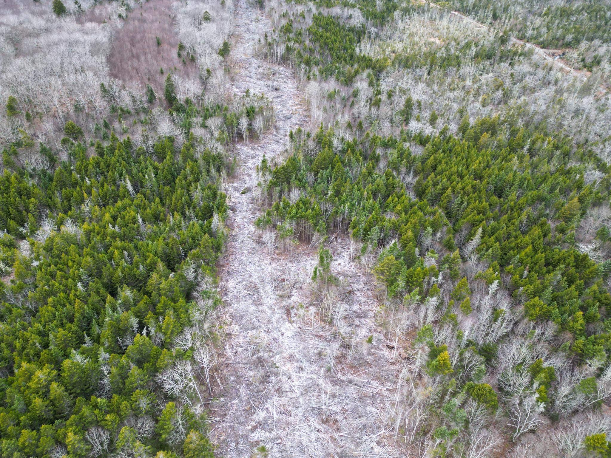 $35,000.00: Lot Peter LeBlanc Road, St. Alphonse