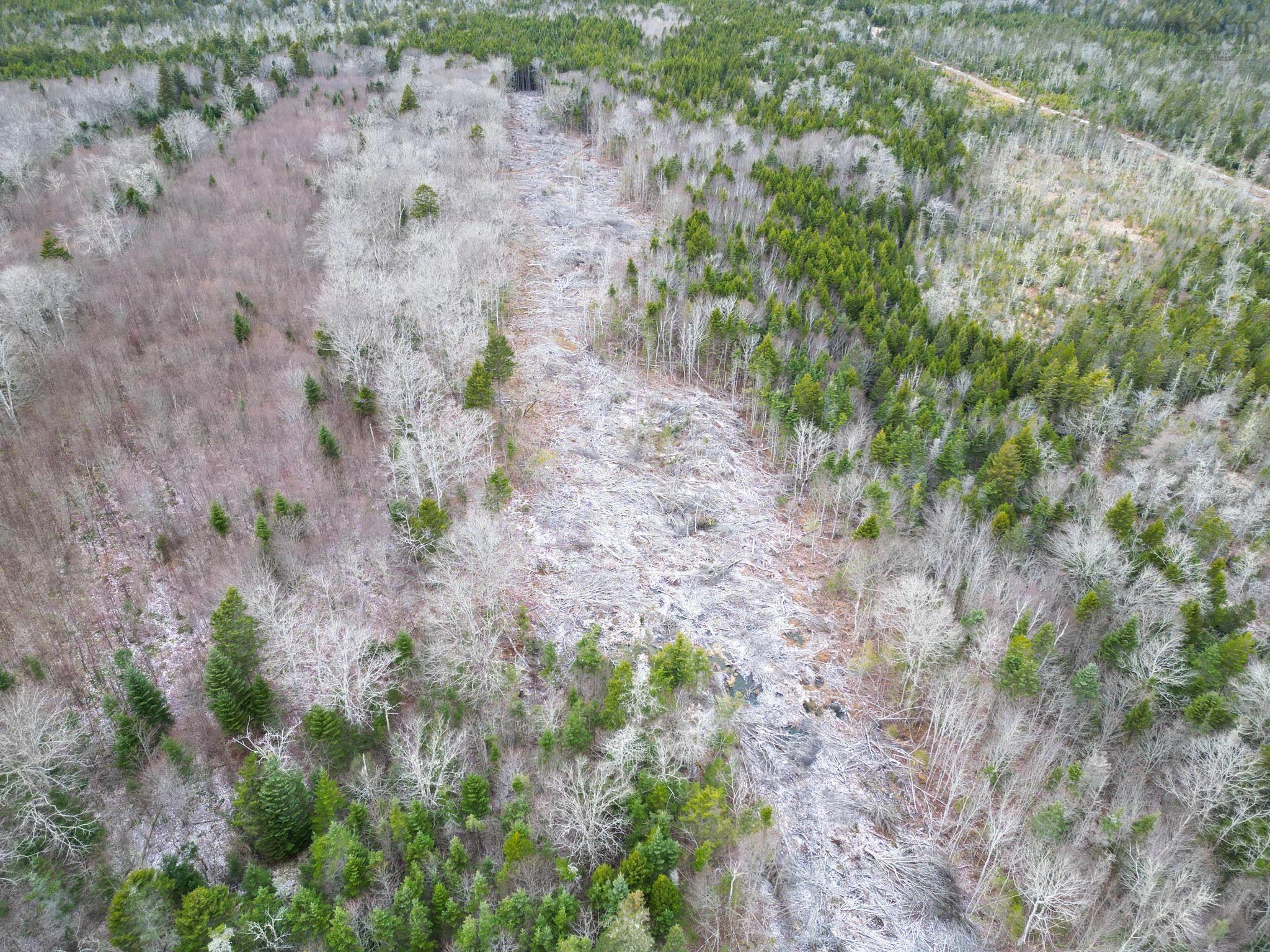 $35,000.00: Lot Peter LeBlanc Road, St. Alphonse