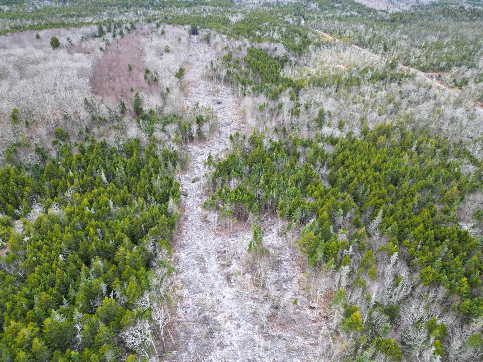 $35,000.00: Lot Peter LeBlanc Road, St. Alphonse