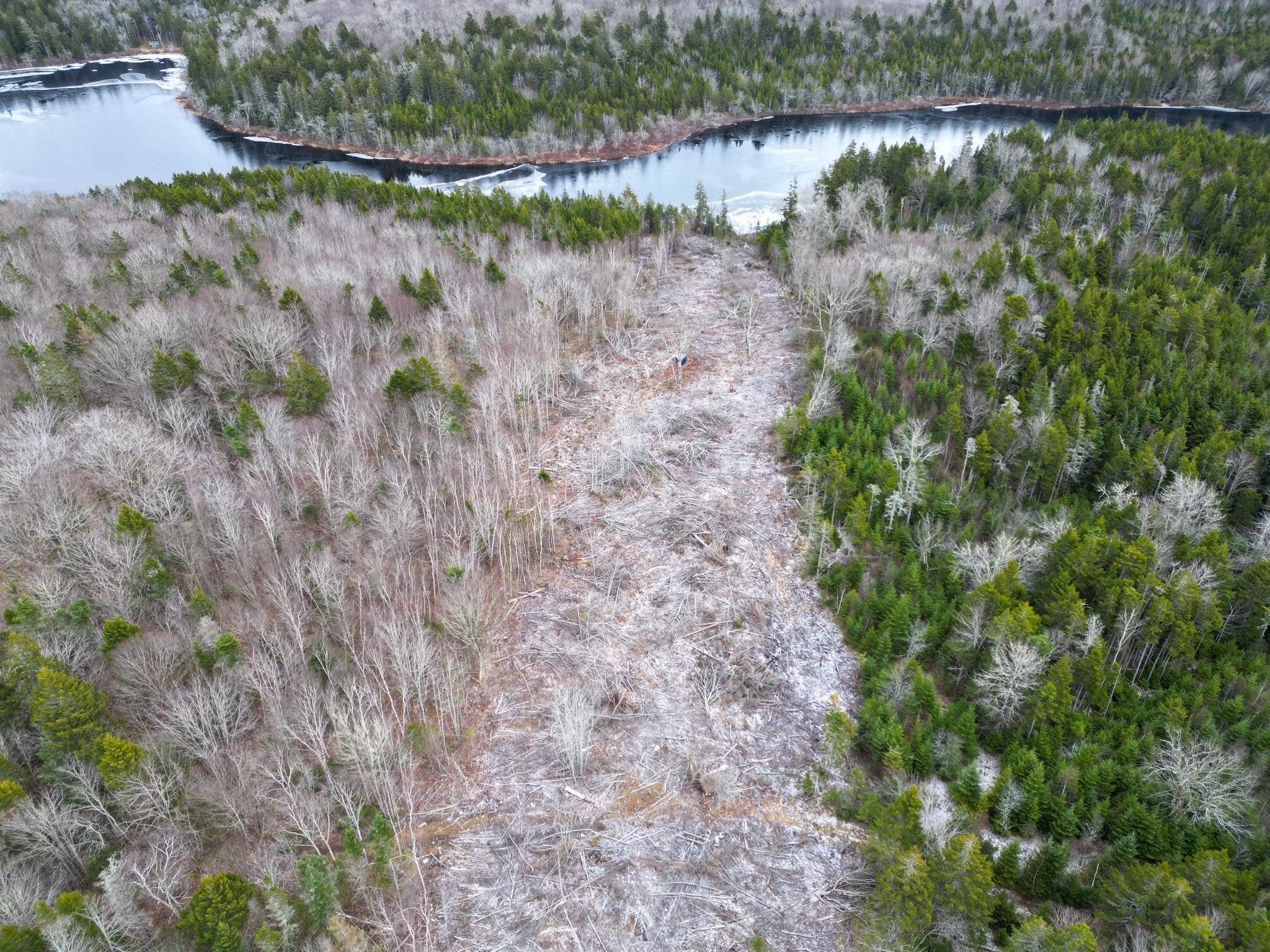 $35,000.00: Lot Peter LeBlanc Road, St. Alphonse