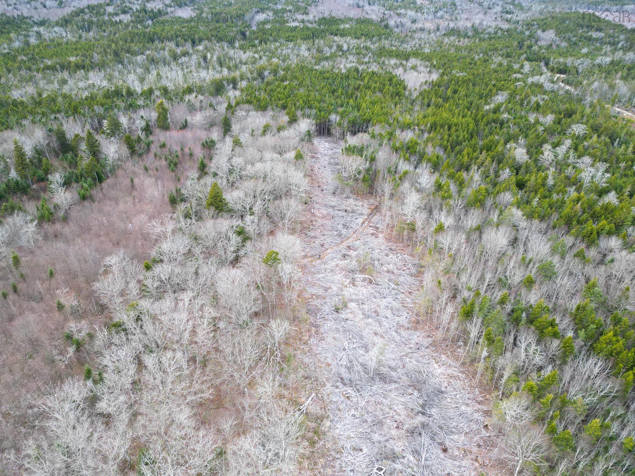 $35,000.00: Lot Peter LeBlanc Road, St. Alphonse