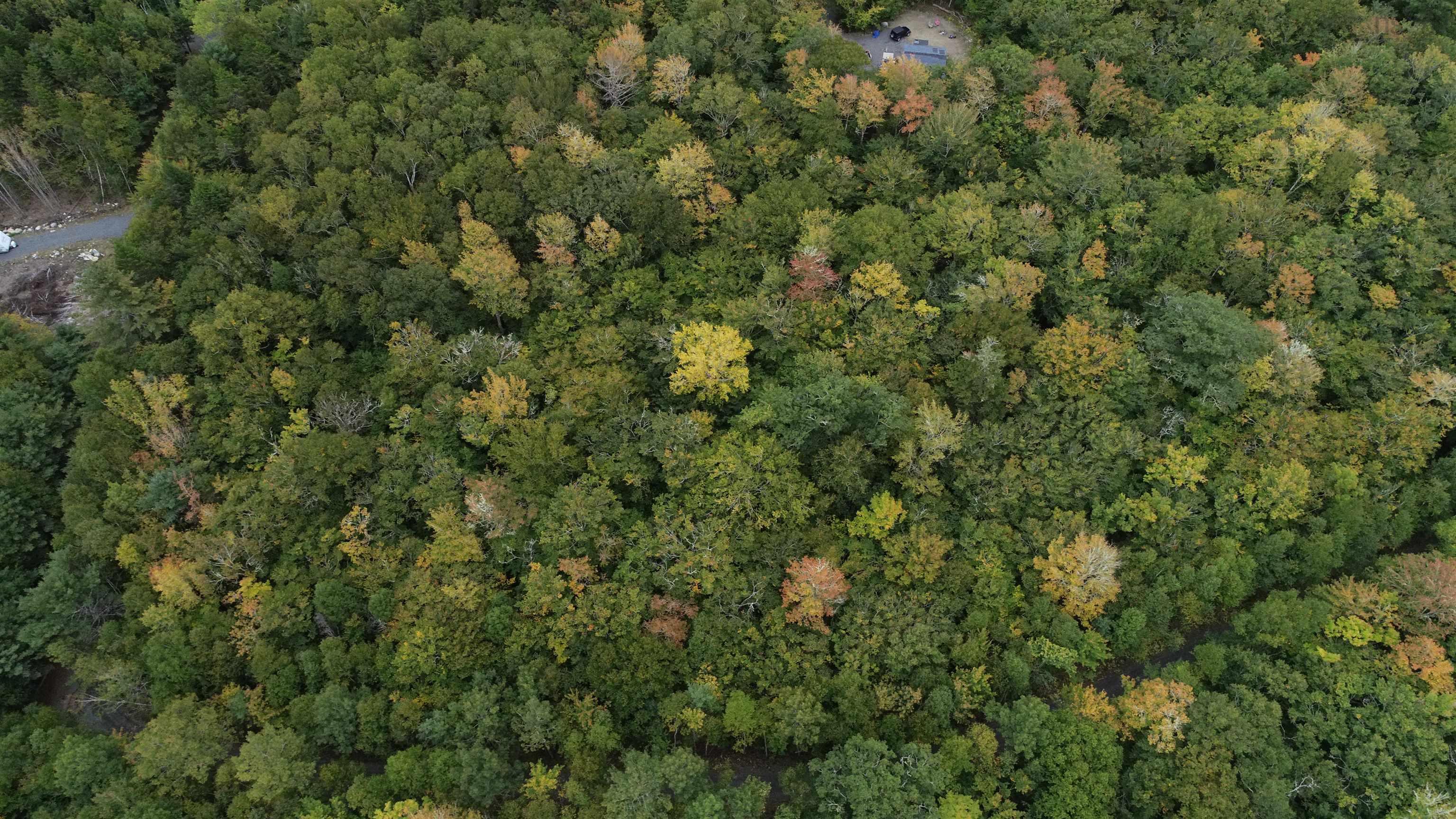 $19,900.00: Lot 56 Ponhook View Drive, Labelle