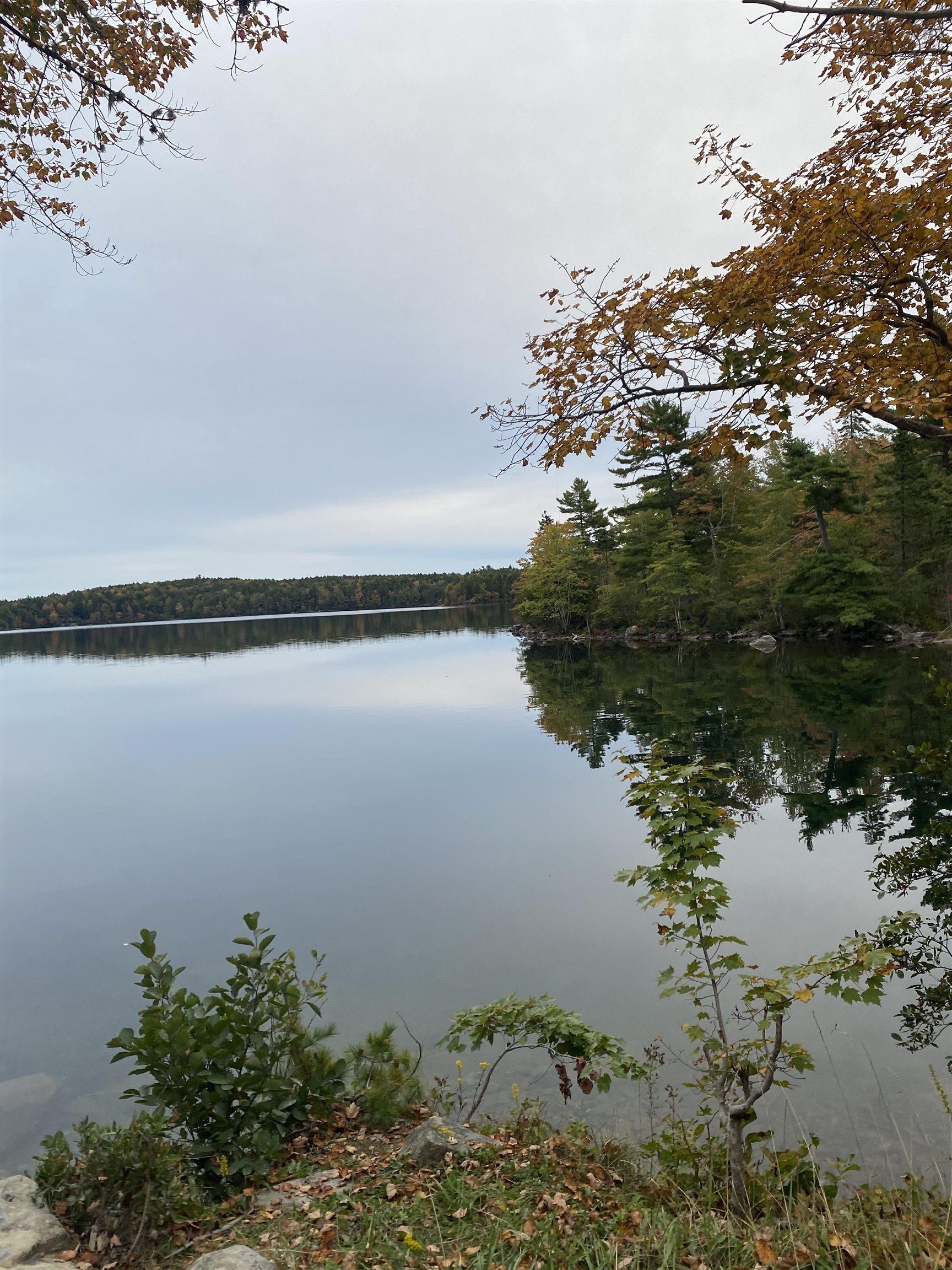 $19,900.00: Lot 56 Ponhook View Drive, Labelle