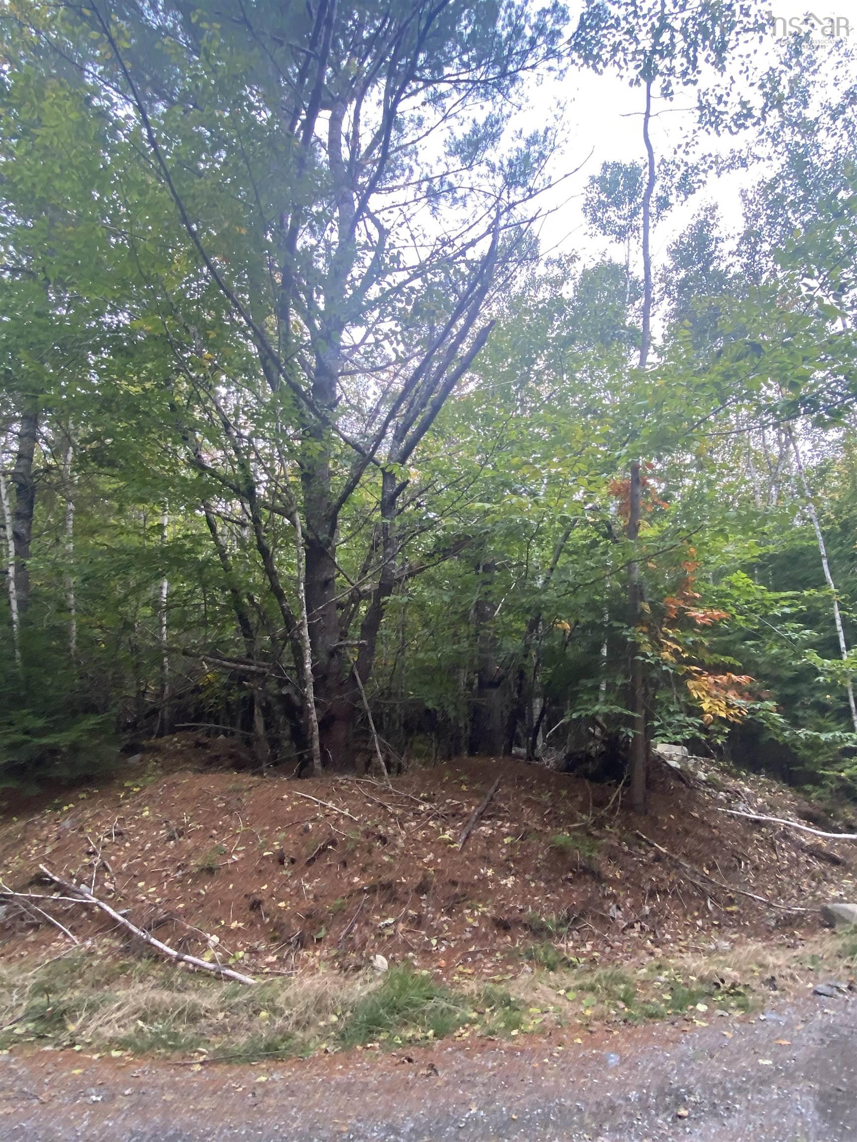 $19,900.00: Lot 56 Ponhook View Drive, Labelle