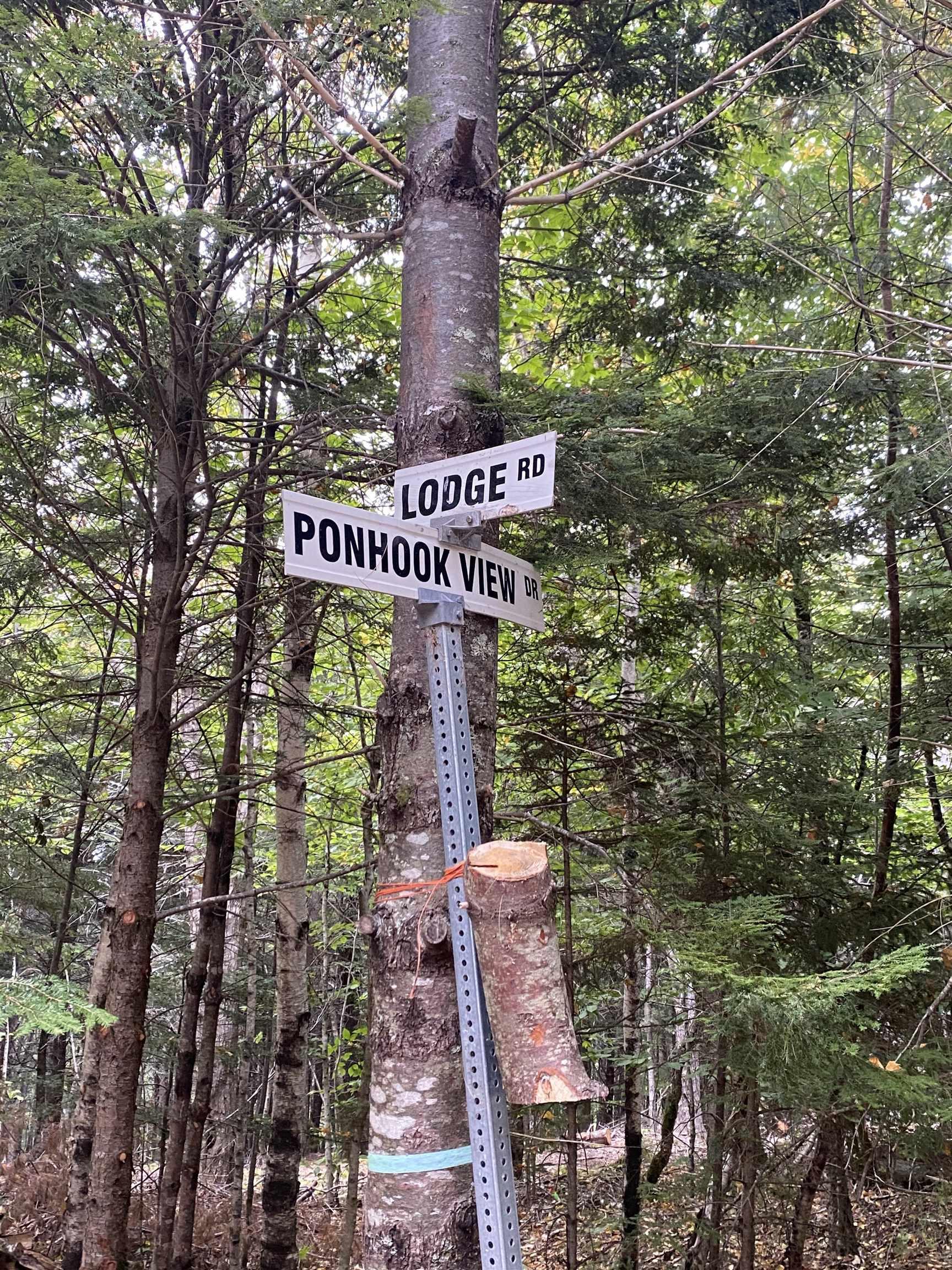 $19,900.00: Lot 56 Ponhook View Drive, Labelle