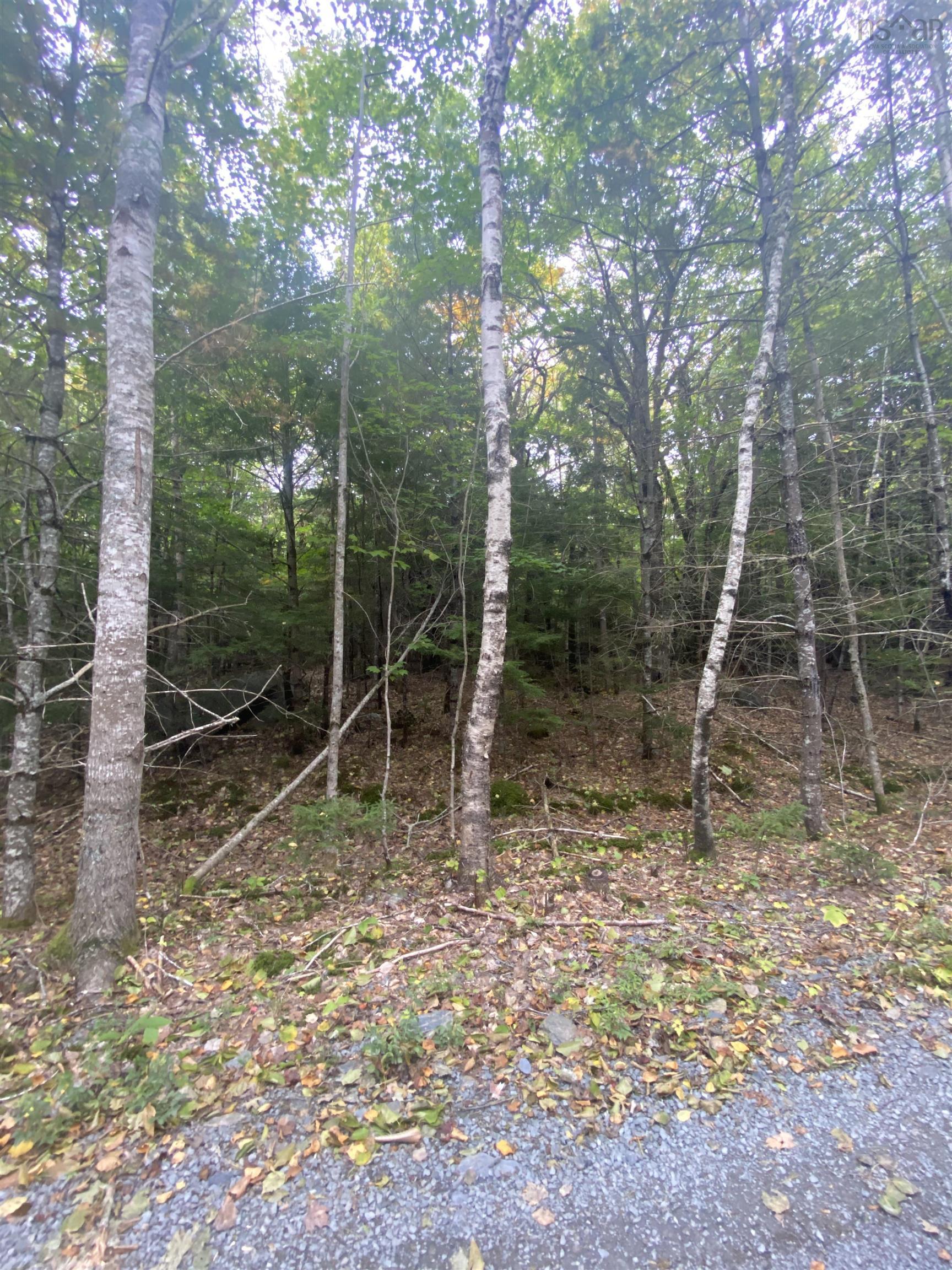 $19,900.00: Lot 56 Ponhook View Drive, Labelle