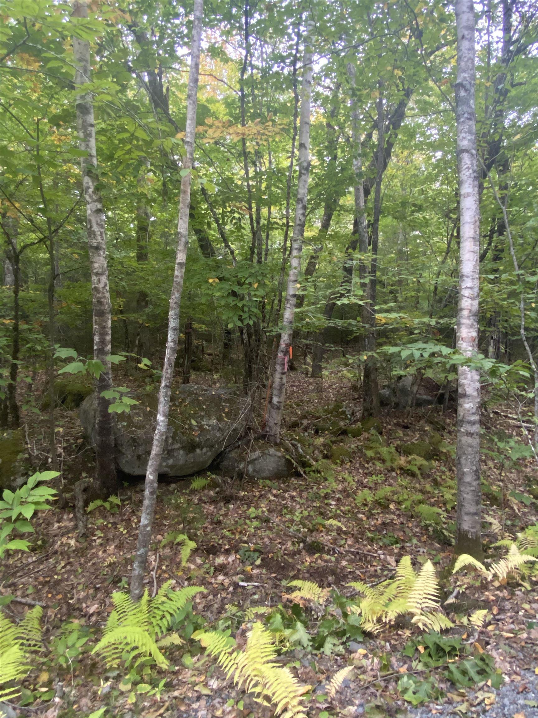 $19,900.00: Lot 56 Ponhook View Drive, Labelle