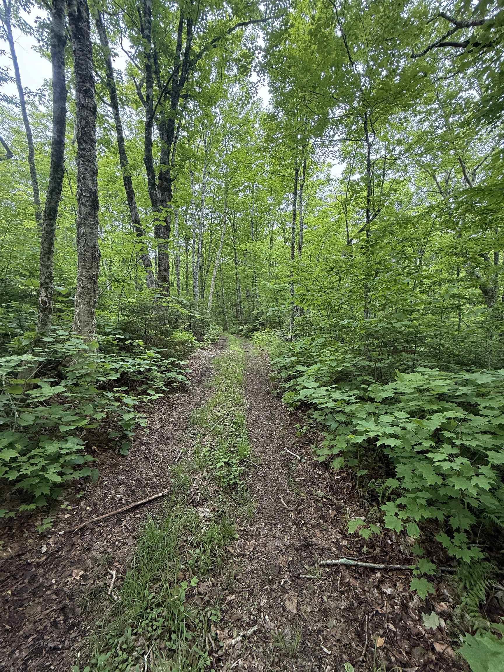 $139,000.00: Lot PID#20098885 Truro Road, New Annan