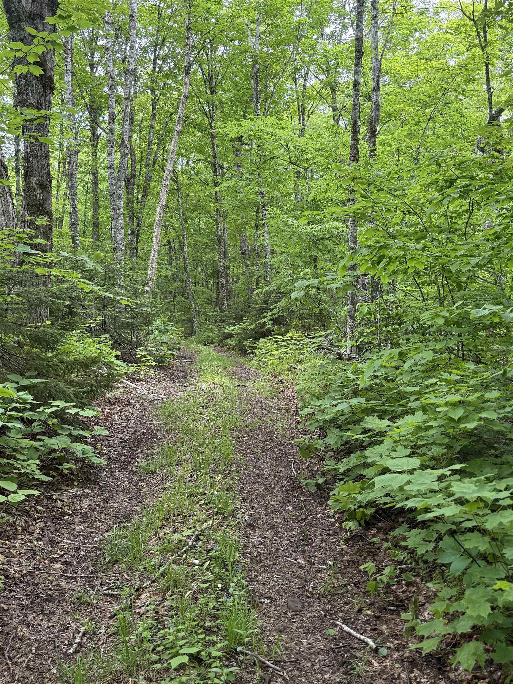 $139,000.00: Lot PID#20098885 Truro Road, New Annan