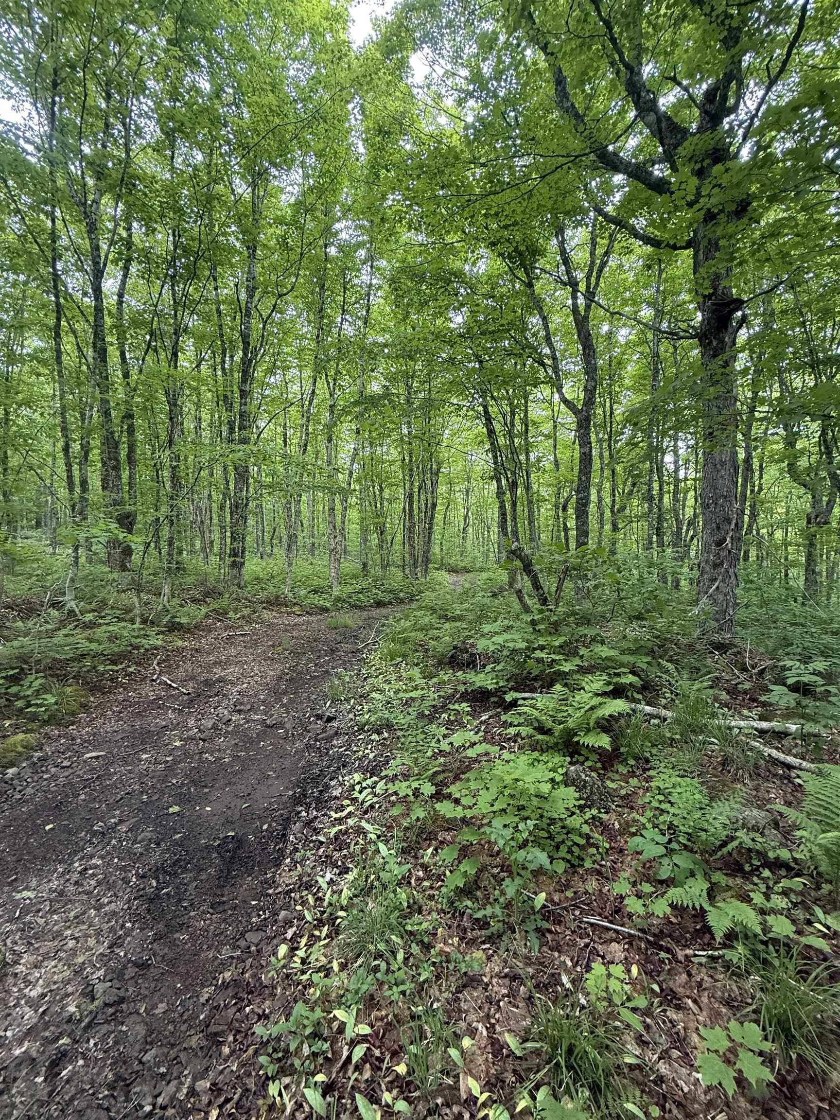 $139,000.00: Lot PID#20098885 Truro Road, New Annan