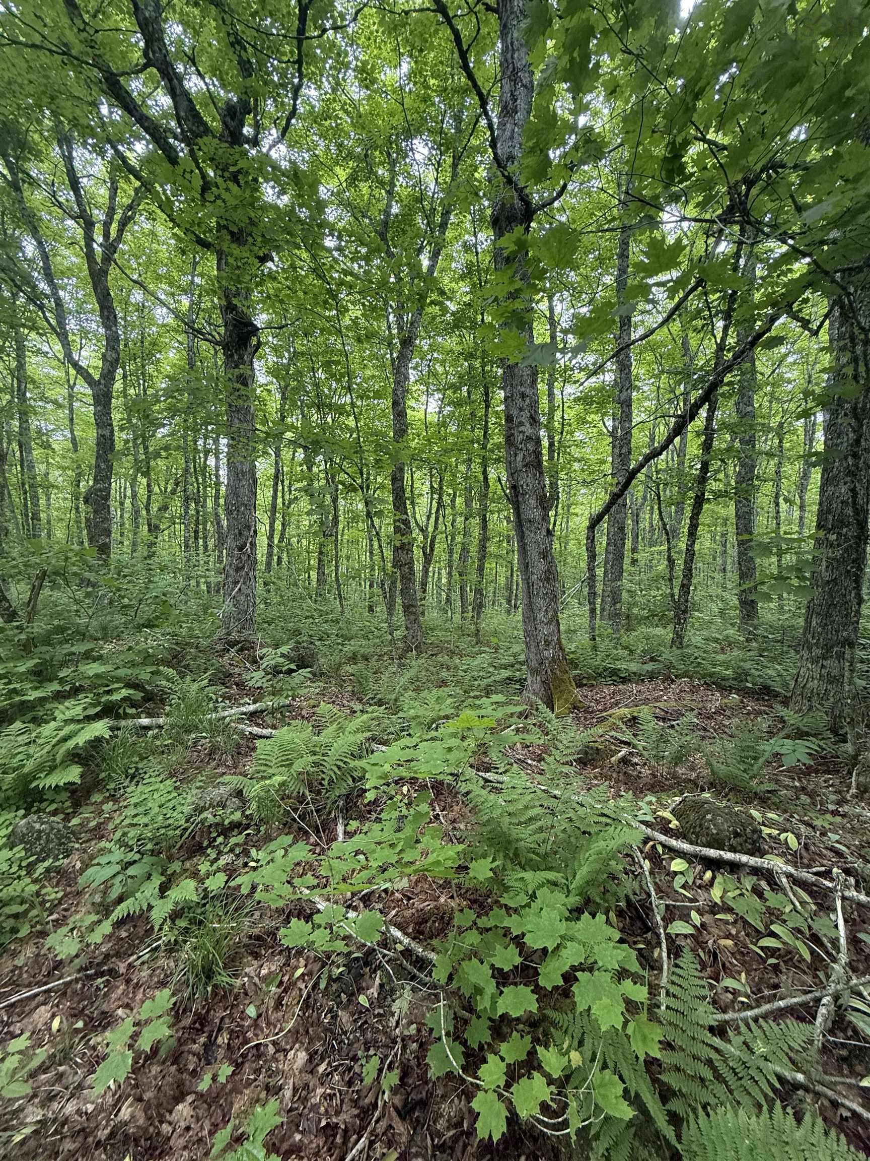 $139,000.00: Lot PID#20098885 Truro Road, New Annan