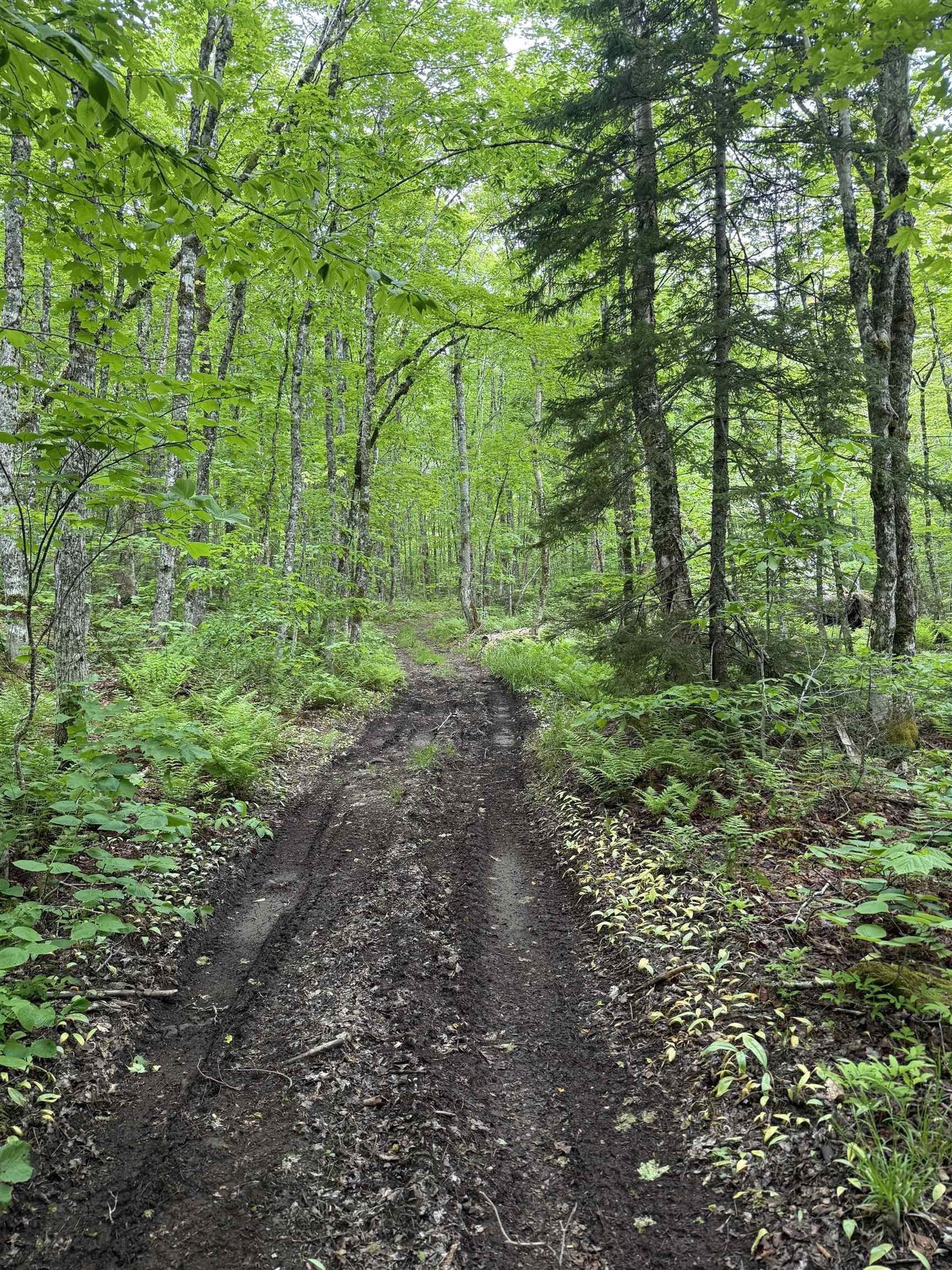 $139,000.00: Lot PID#20098885 Truro Road, New Annan