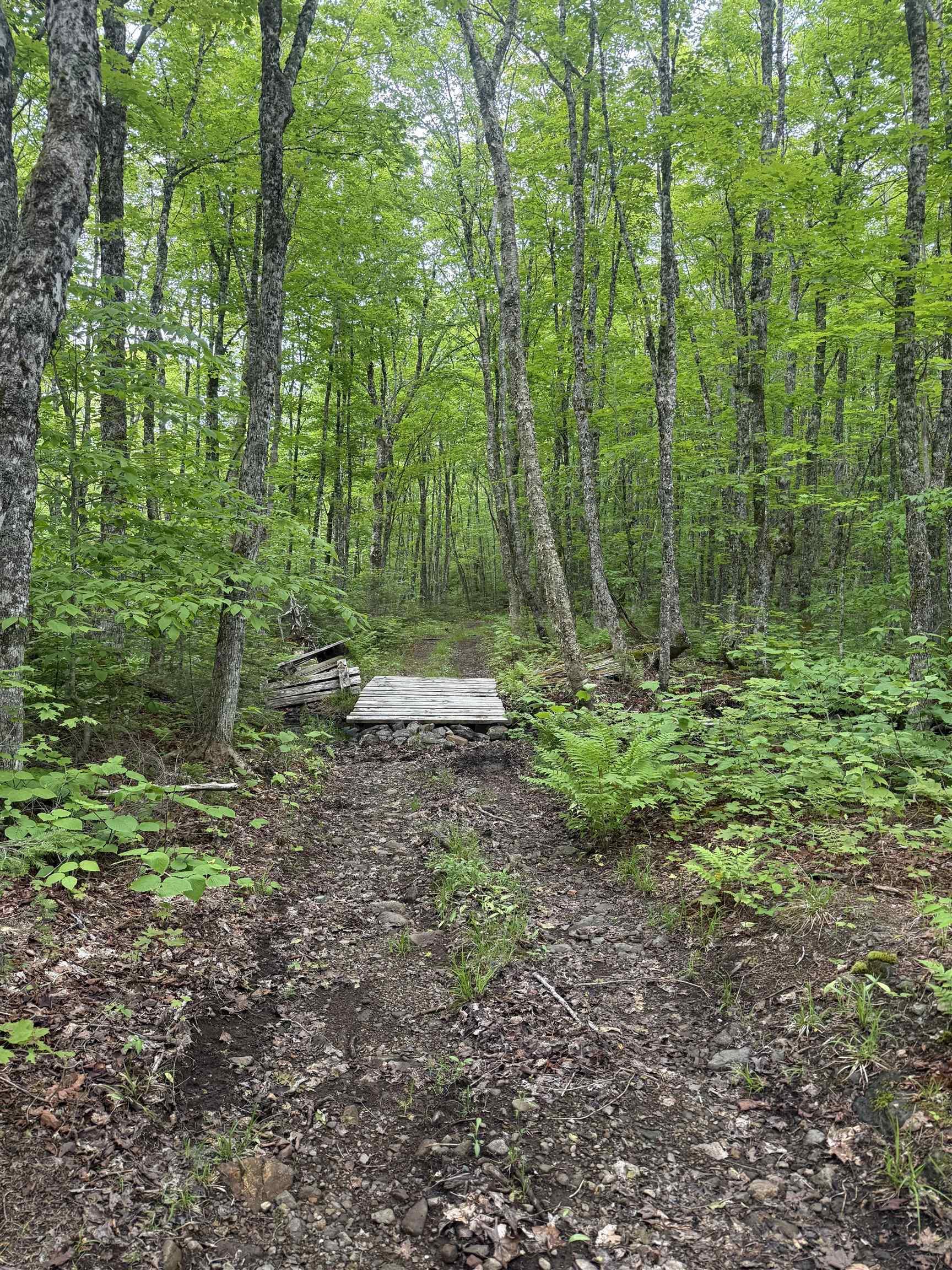 $139,000.00: Lot PID#20098885 Truro Road, New Annan