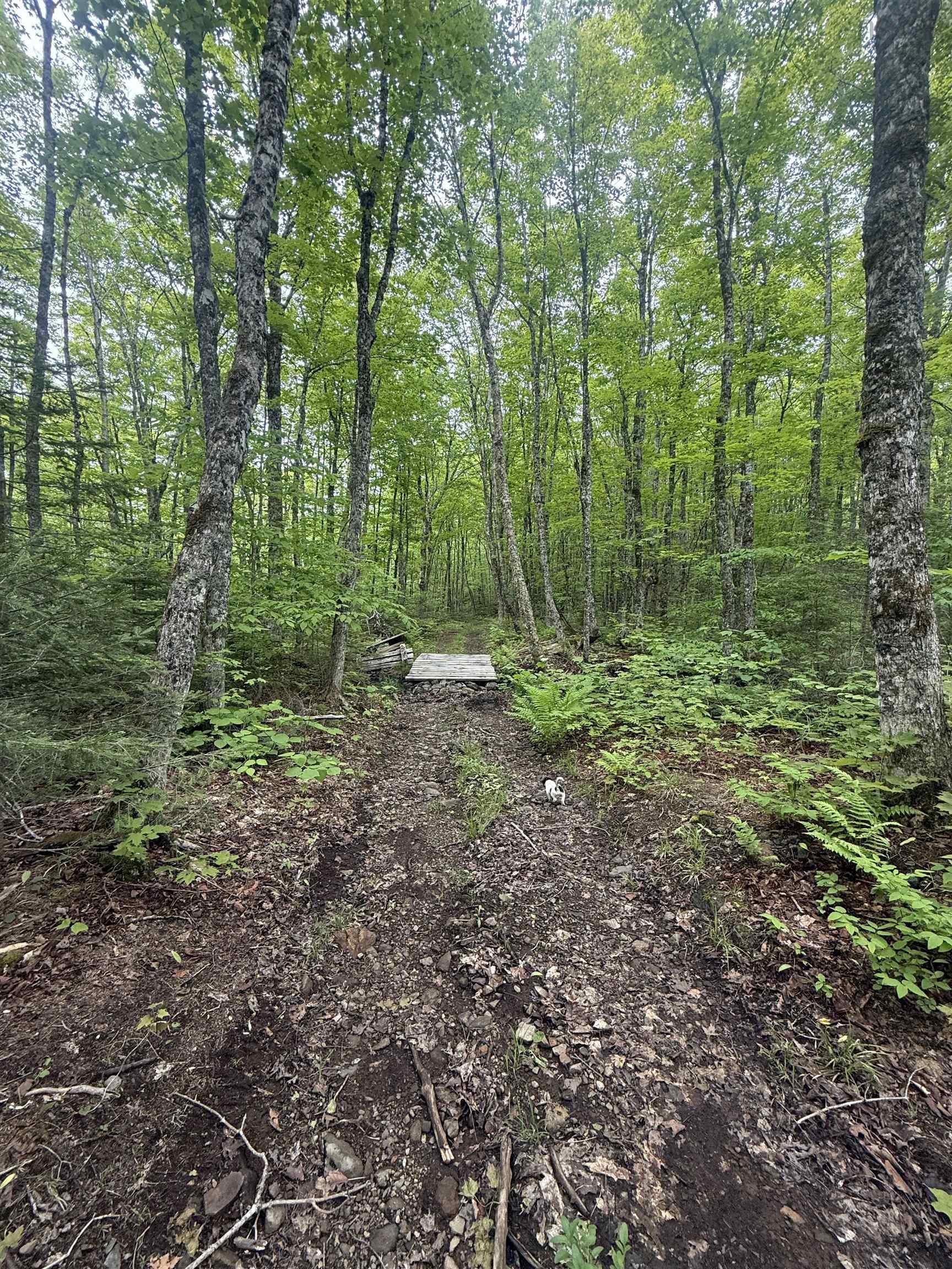 $139,000.00: Lot PID#20098885 Truro Road, New Annan