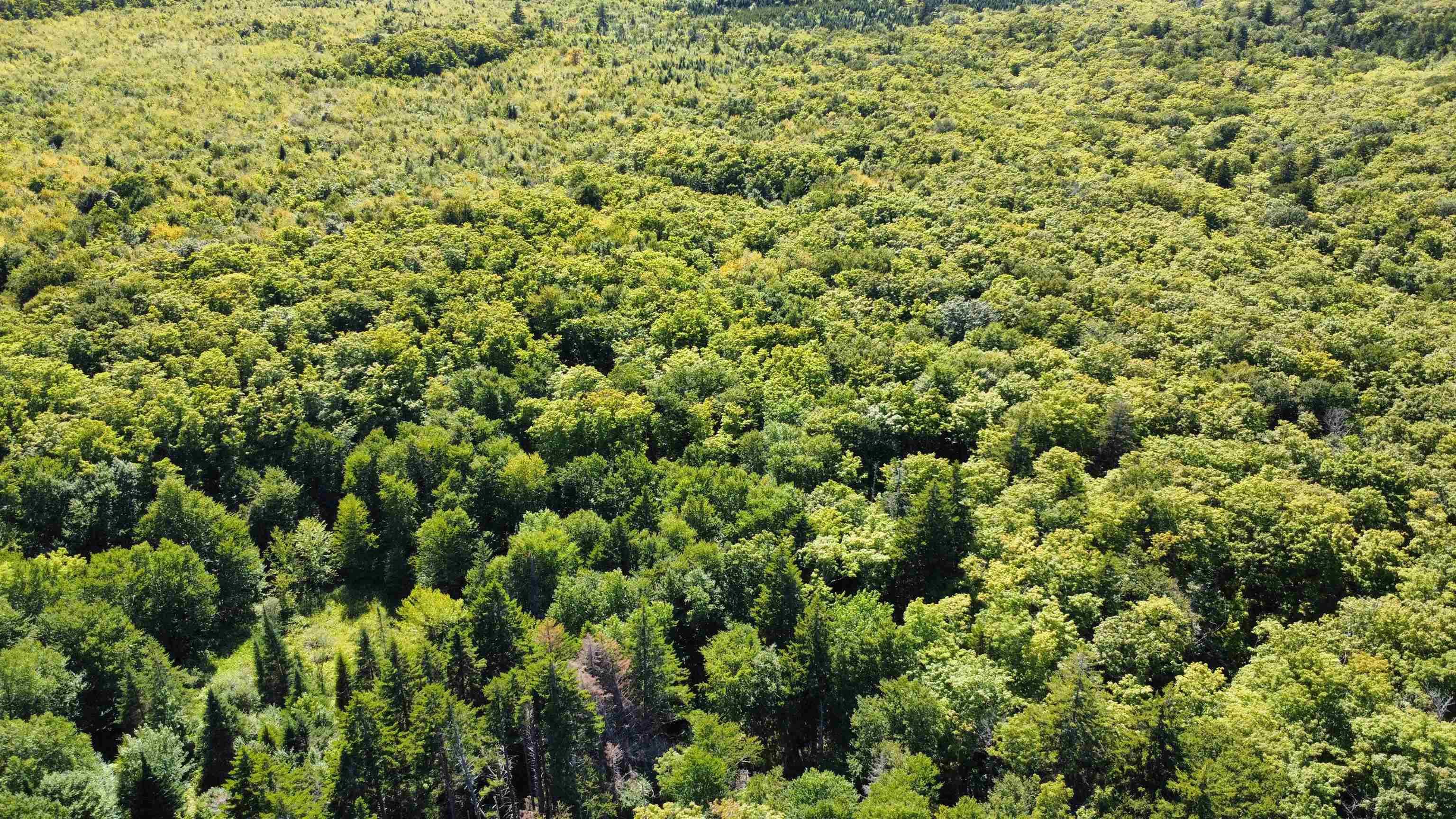 $139,000.00: Lot PID#20098885 Truro Road, New Annan