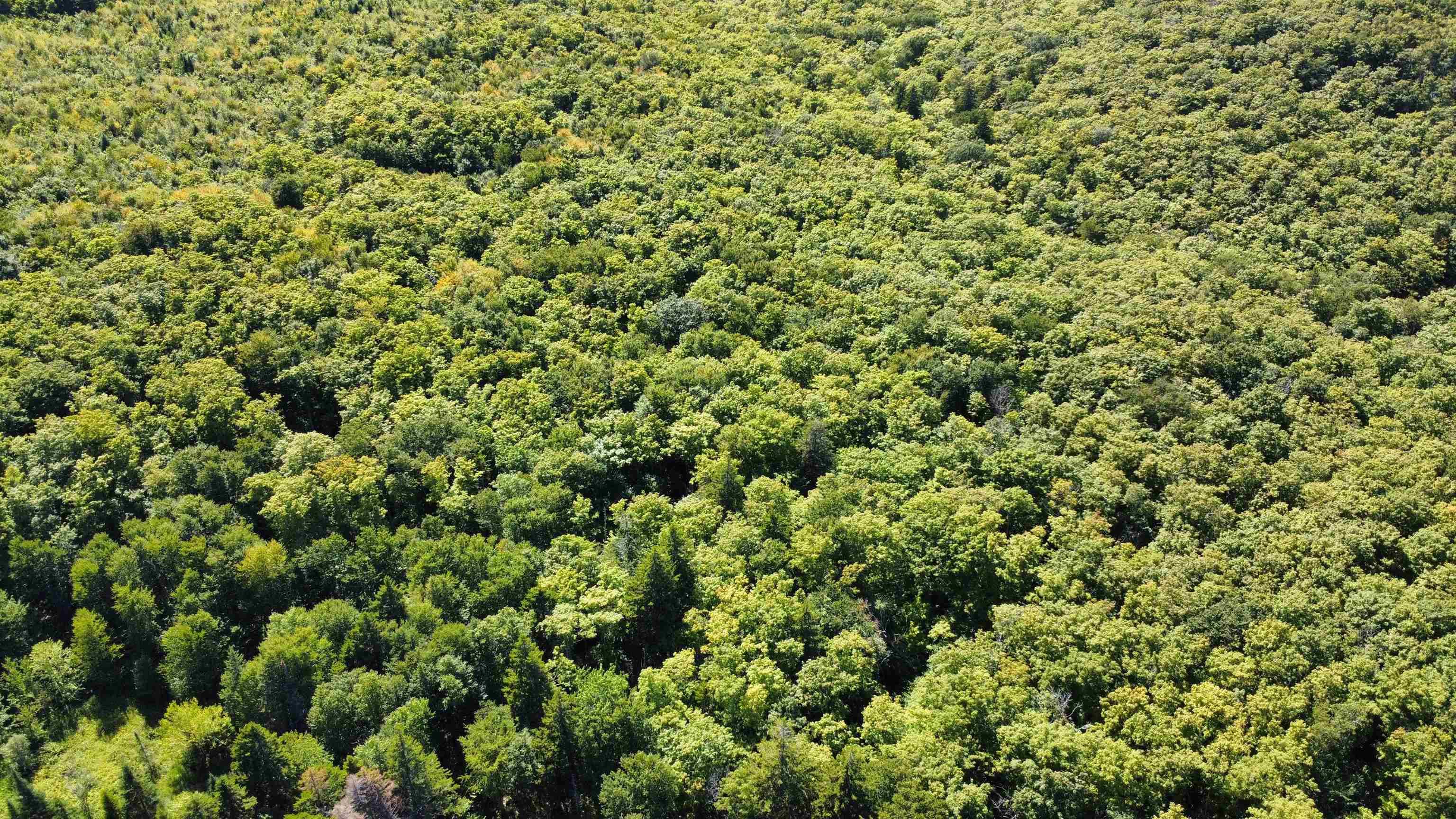 $139,000.00: Lot PID#20098885 Truro Road, New Annan