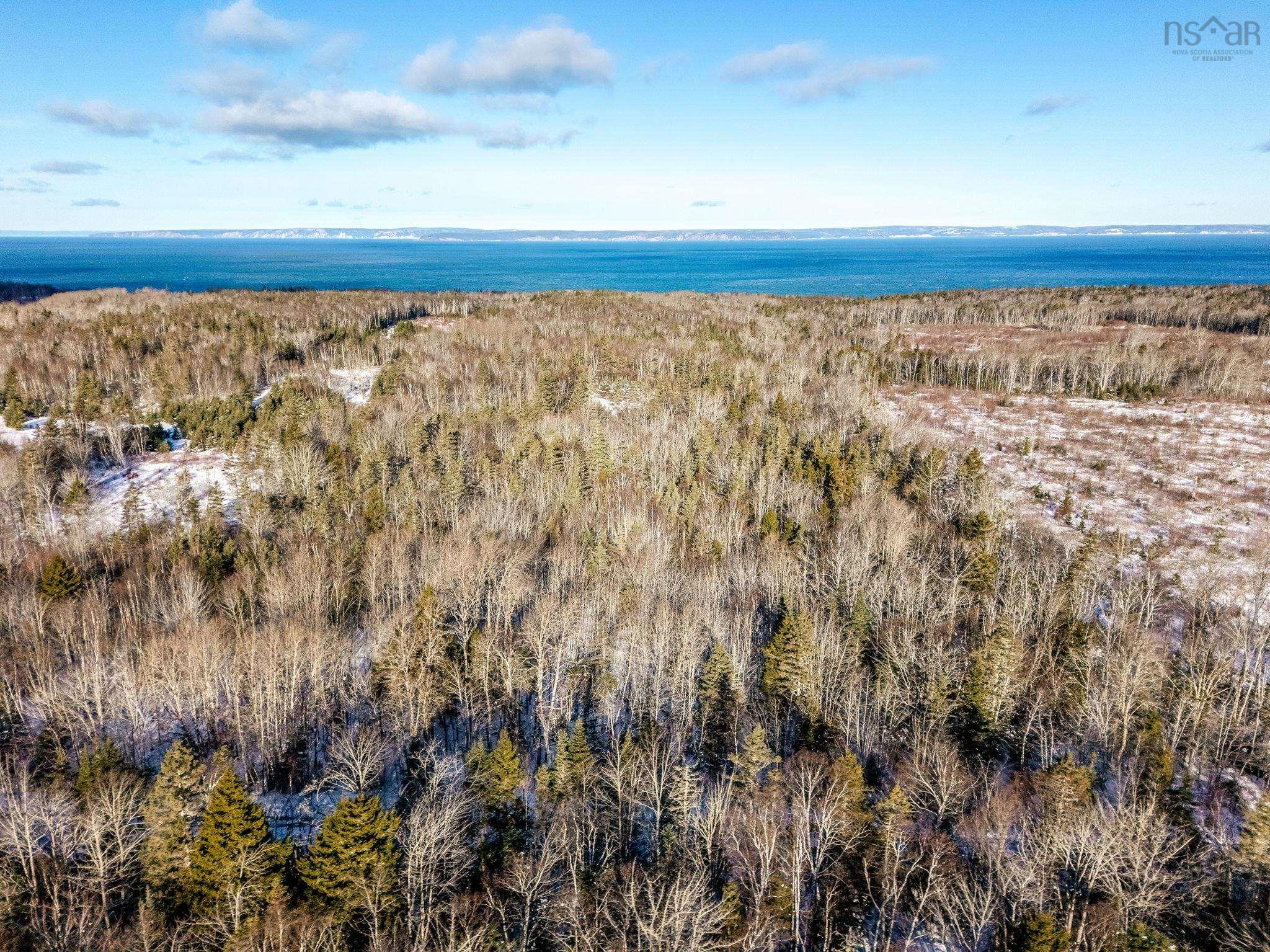Sgm-1por Pelton Mountain Rd Lot Sgm-1por, Chipman Brook, NS (MLS® 202529595)