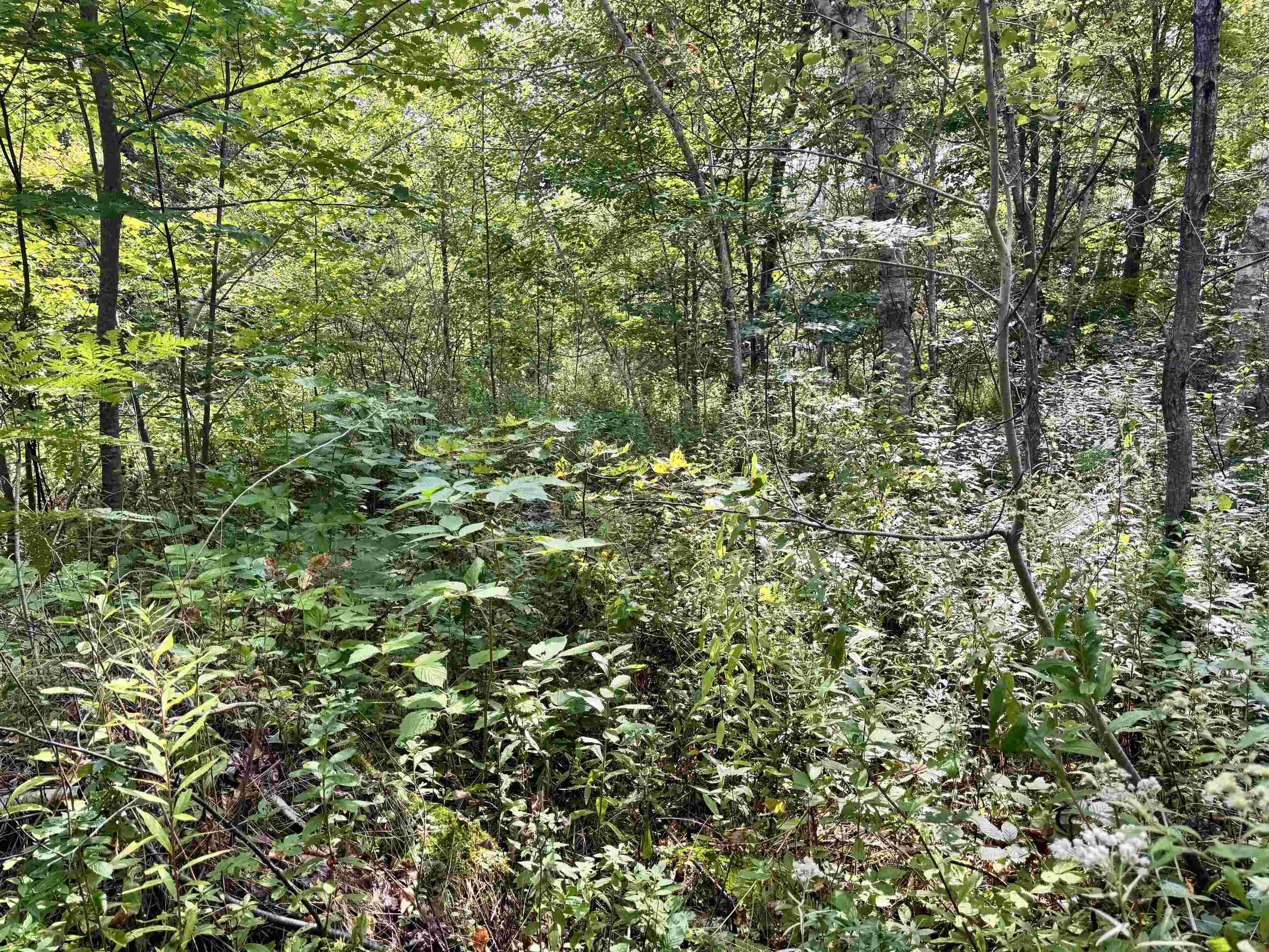 $60,000.00: 1B Seaside Drive, Gardiner Mines