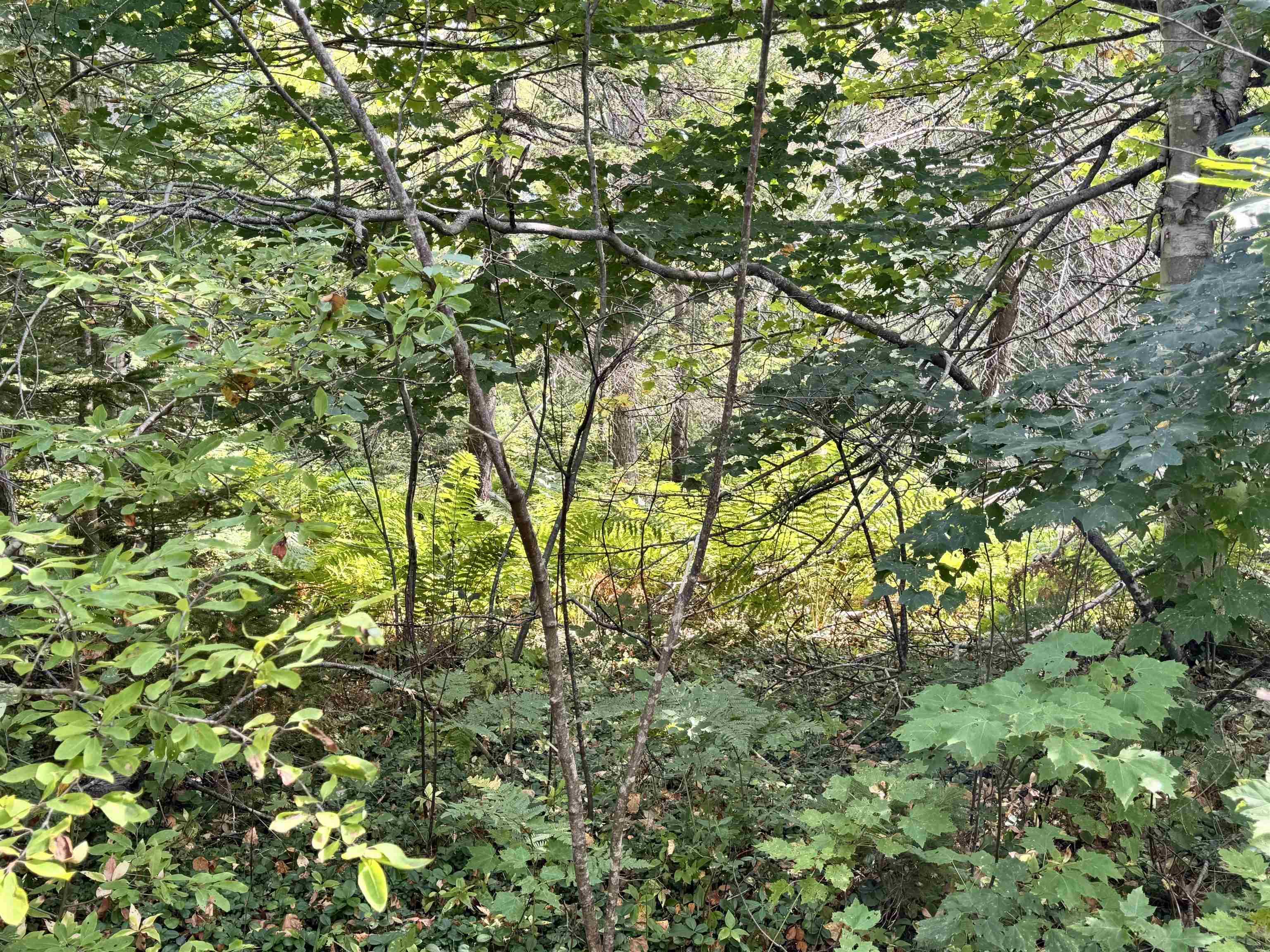 $60,000.00: 1B Seaside Drive, Gardiner Mines