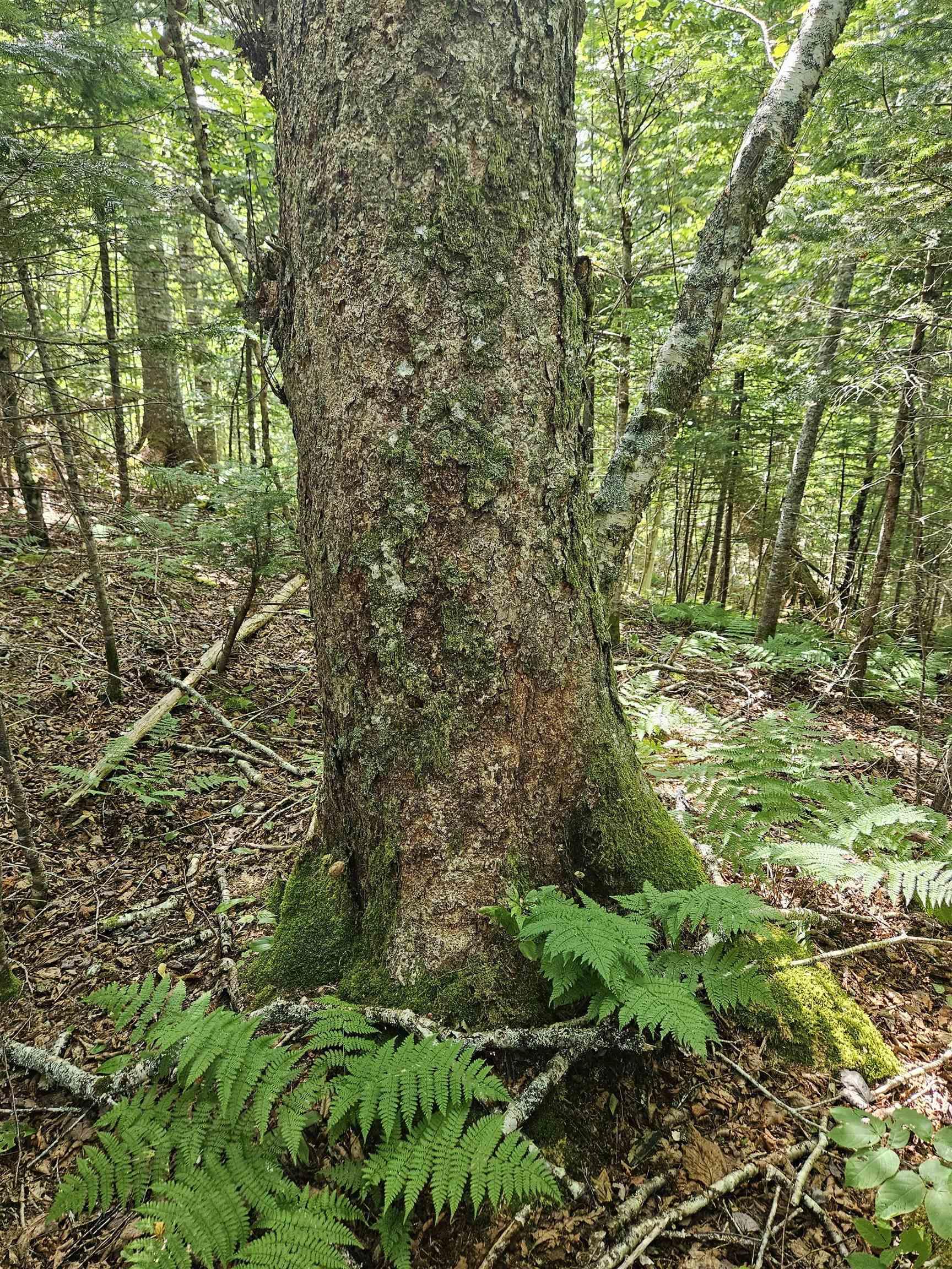 $399,900.00: Hornes Road, Albert Bridge