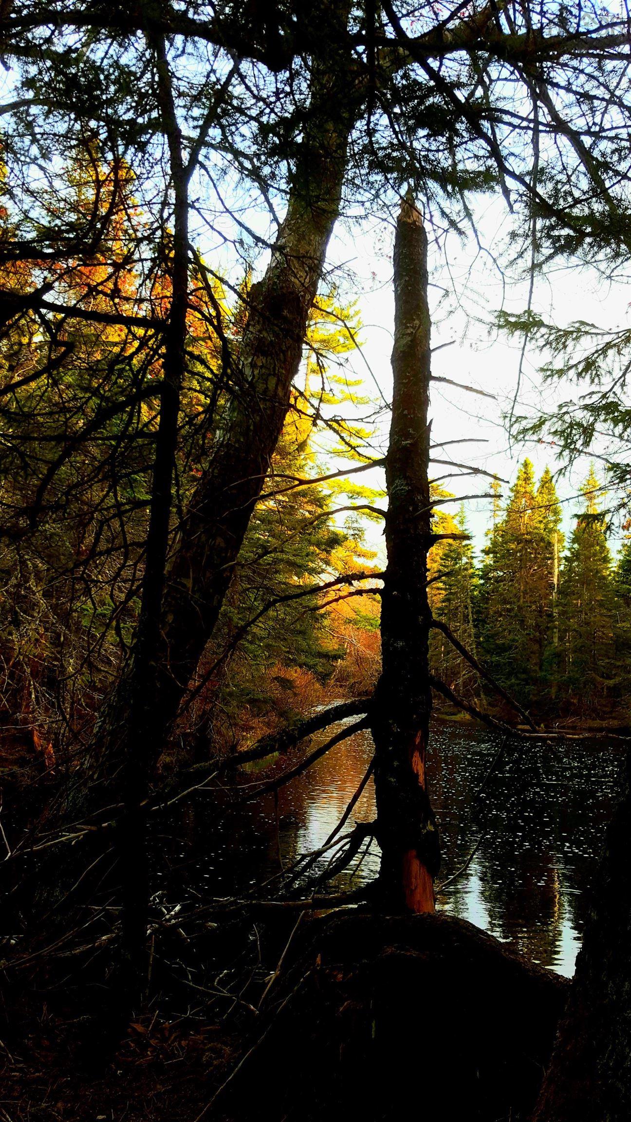 $399,900.00: Hornes Road, Albert Bridge