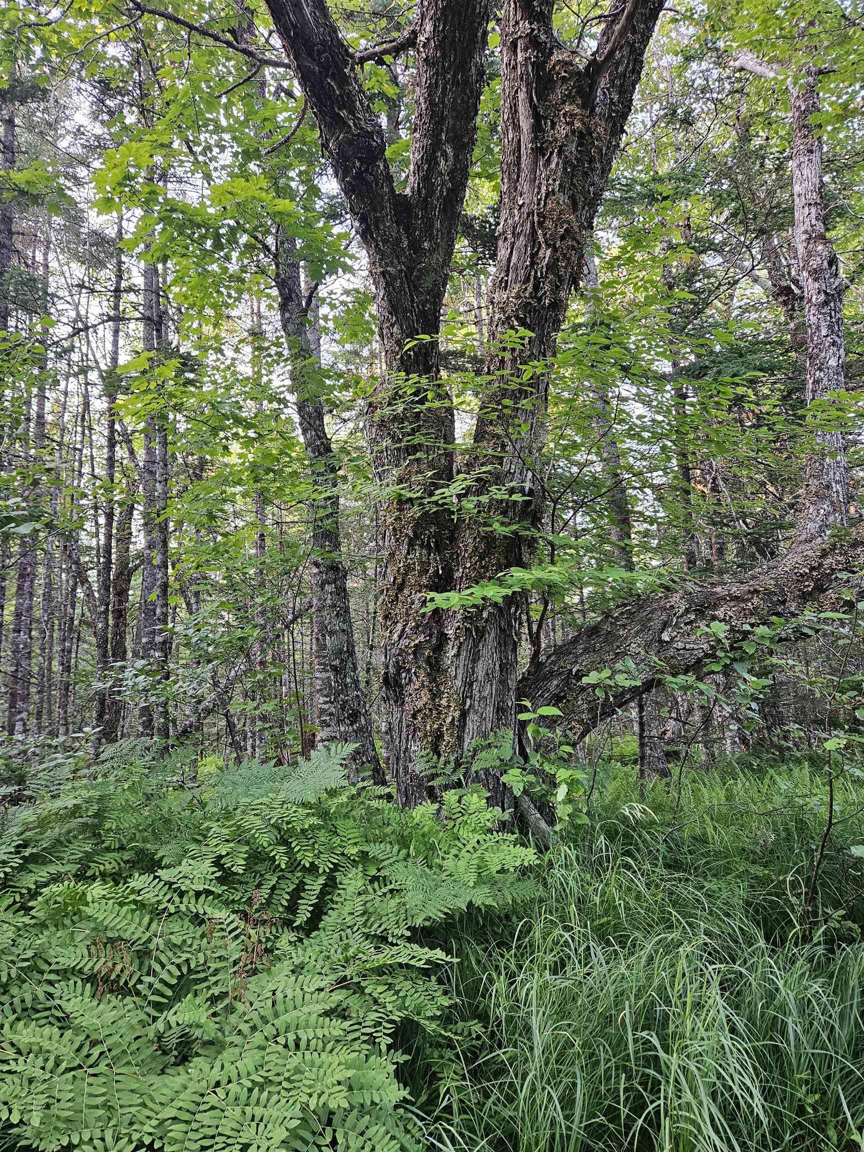 $399,900.00: Hornes Road, Albert Bridge