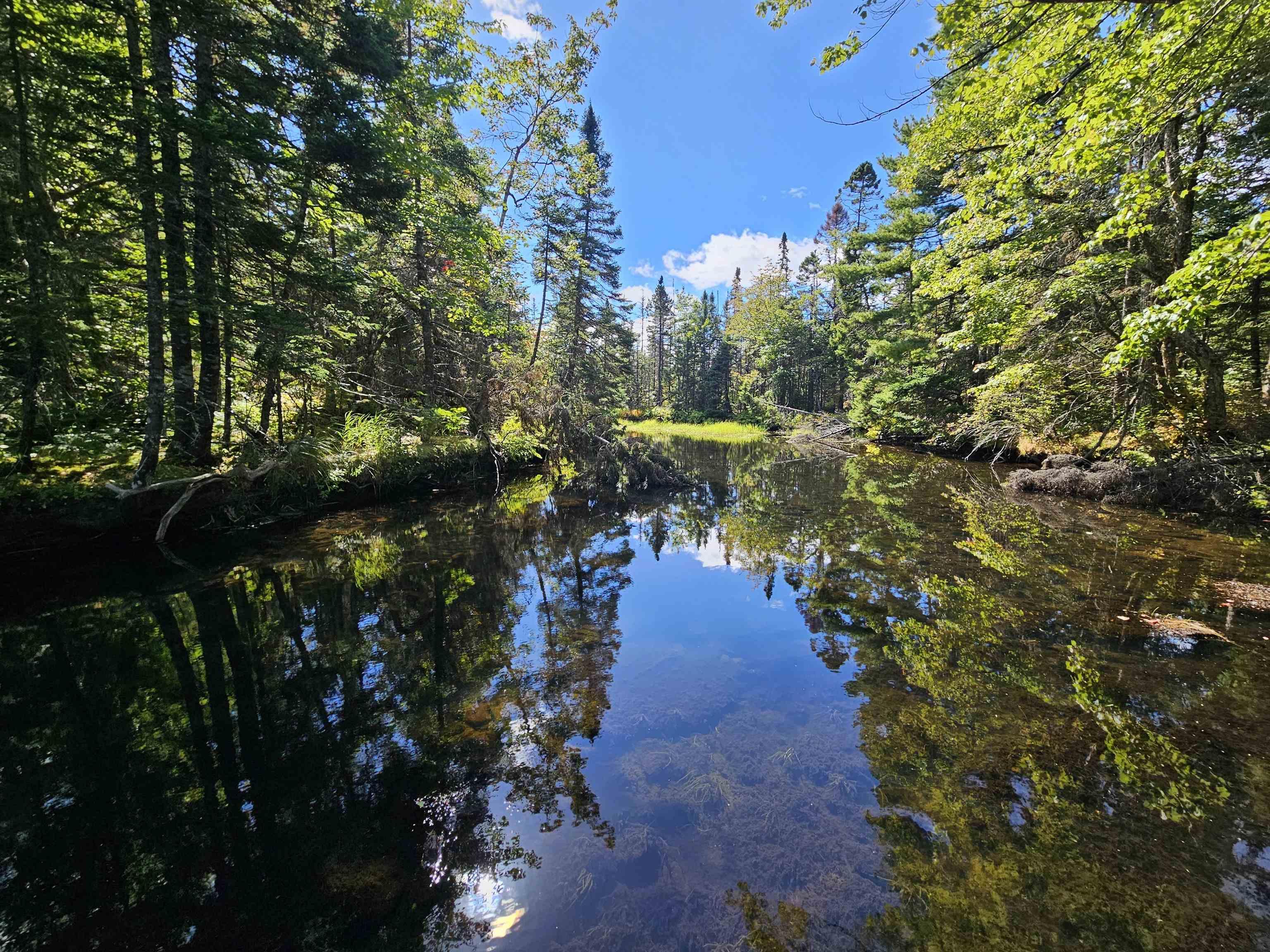 $399,900.00: Hornes Road, Albert Bridge