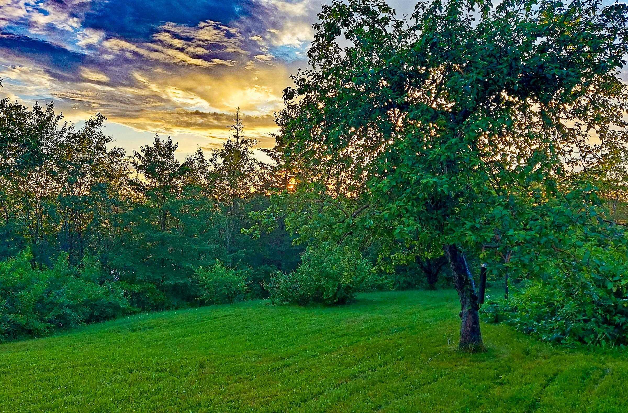 $460,000.00: 7056 Highway 329, East River Point