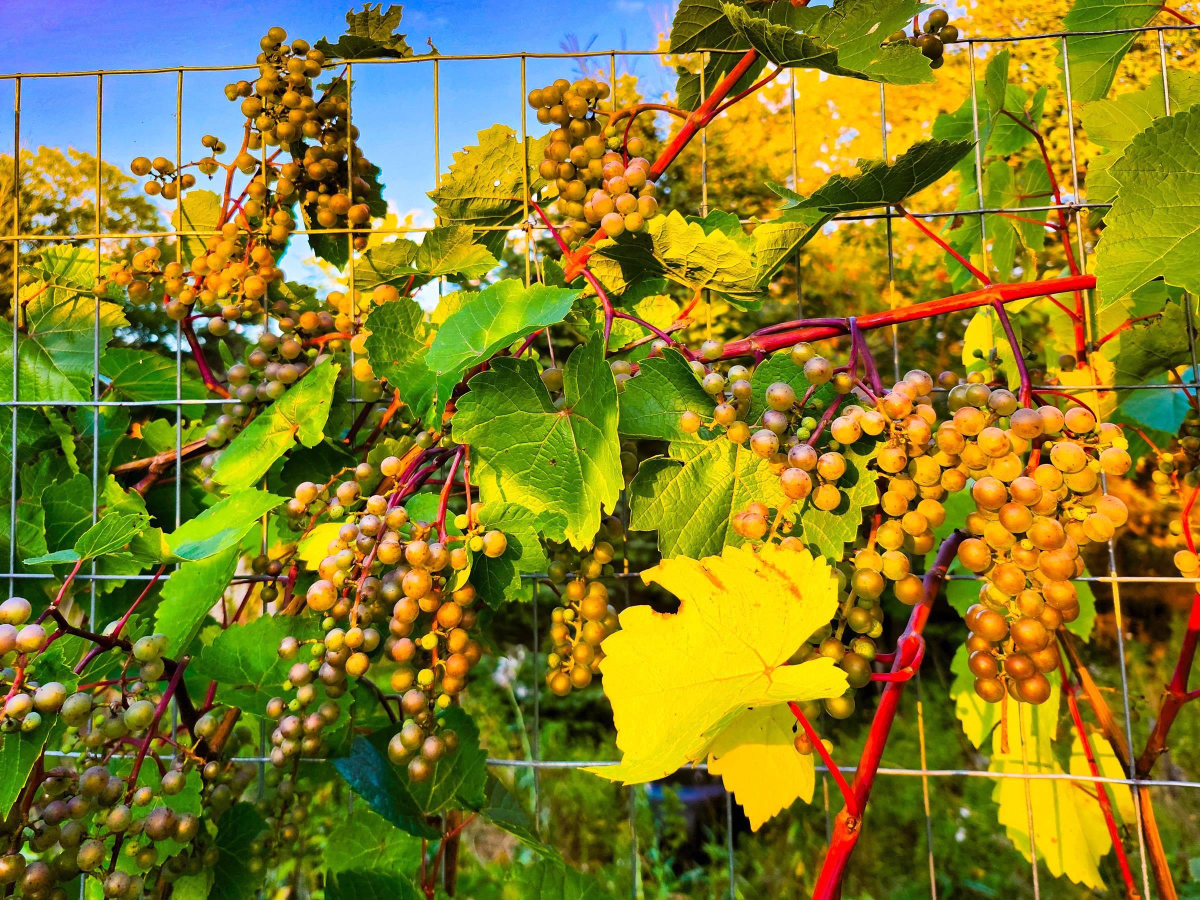 $460,000.00: 7056 Highway 329, East River Point