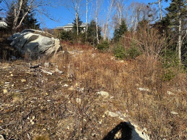 7 4431a Prospect Road, Bayside, NS (MLS 202529641)