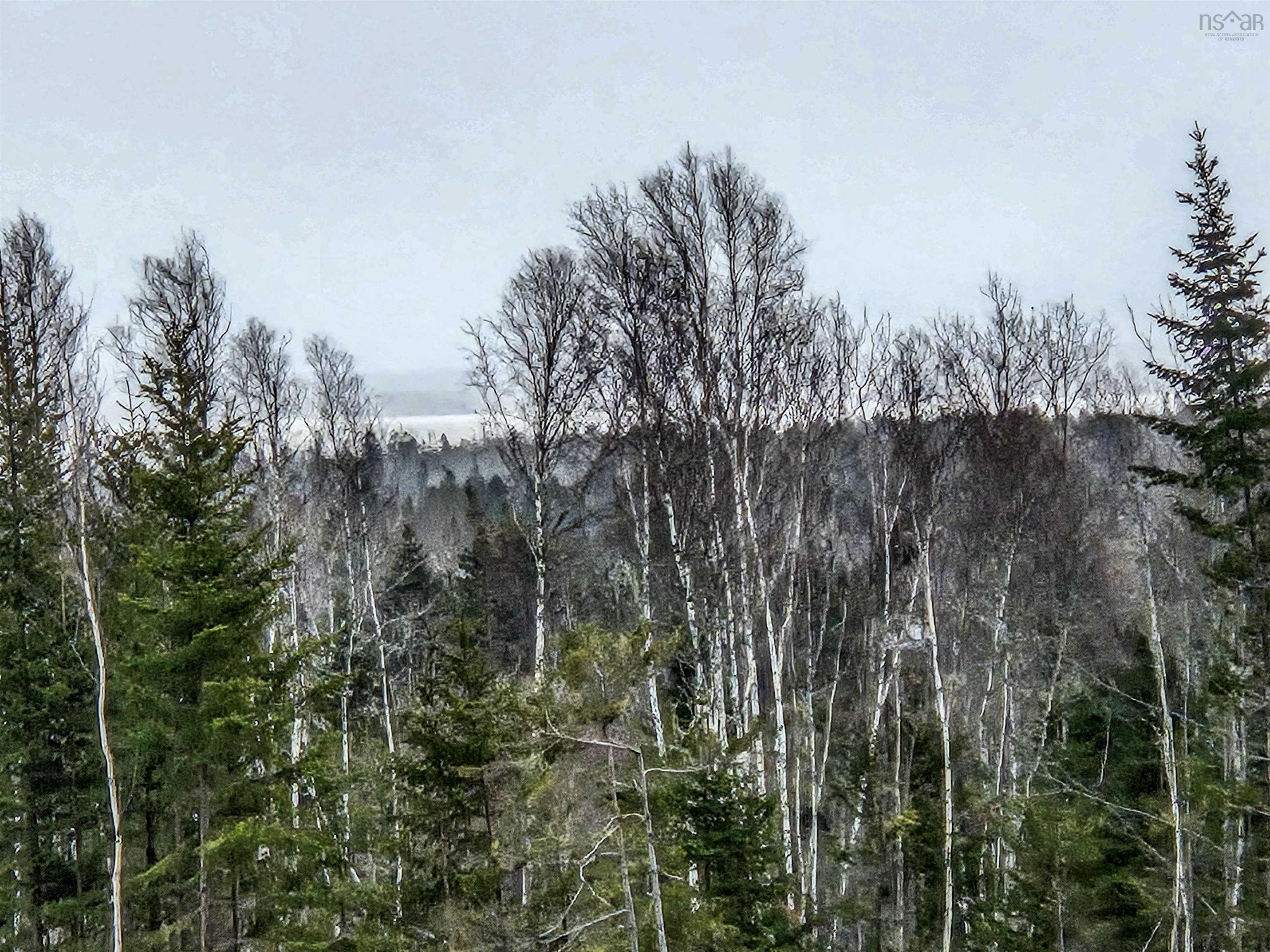 $71,500.00: Lot ECONOMY RIVER Road, Economy