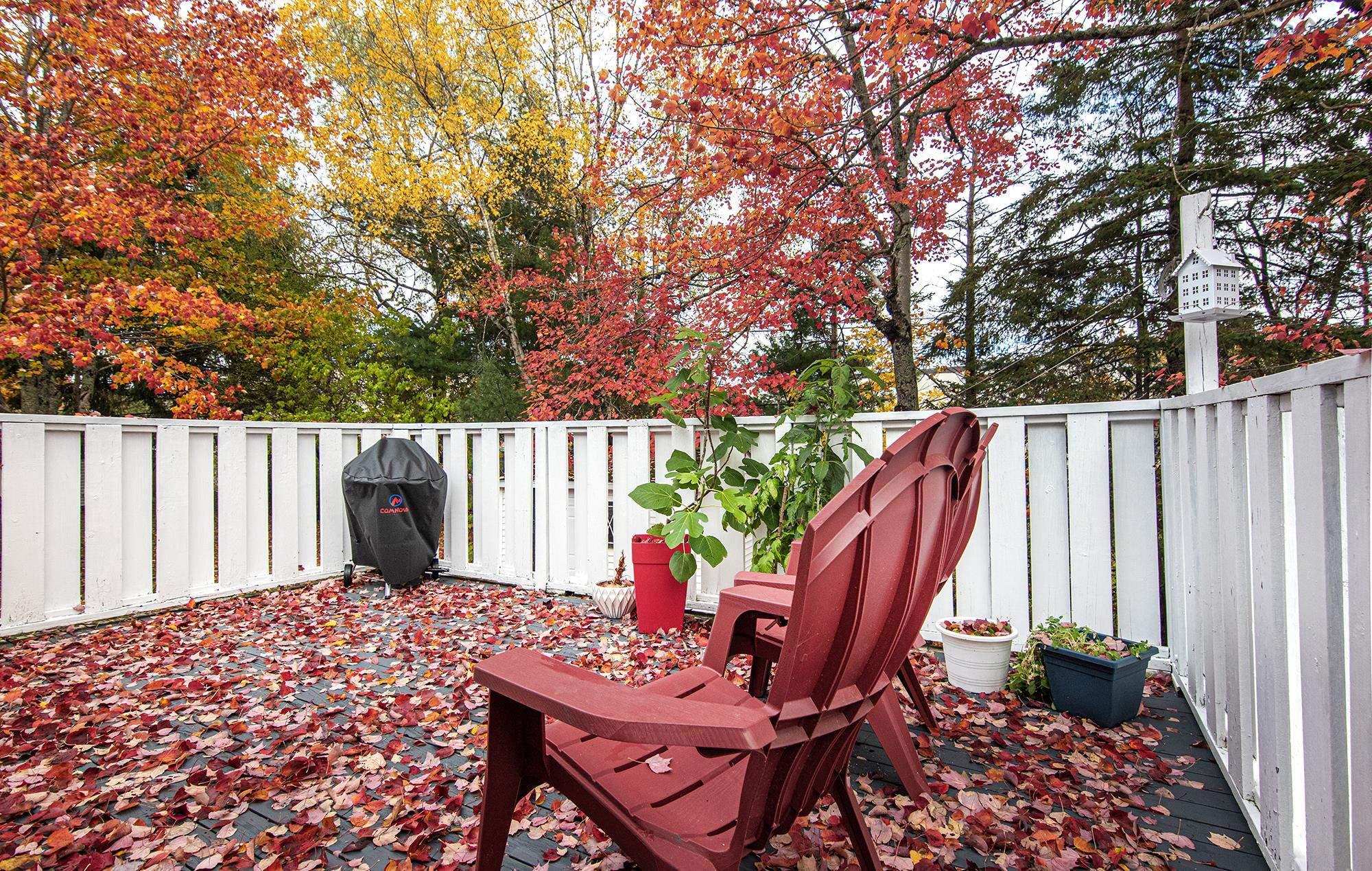 73 Union Street, Bedford, NS (MLS 202529686)