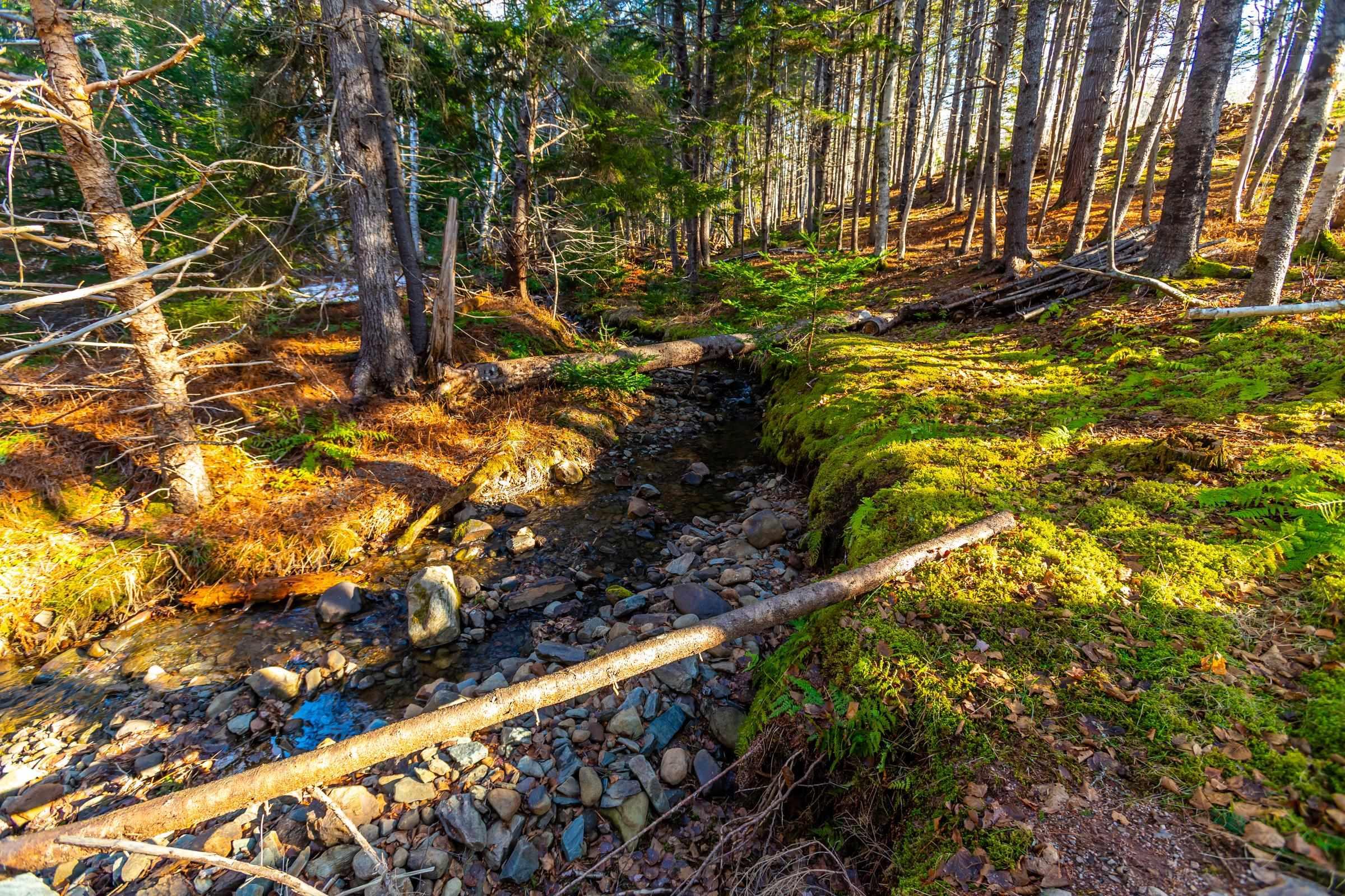 $149,000.00: 207 Old Post Road, Clementsport