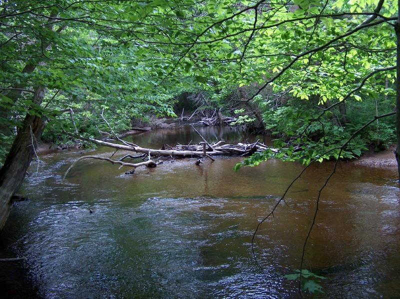 $14,900.00: Three Rivers Road, Framboise