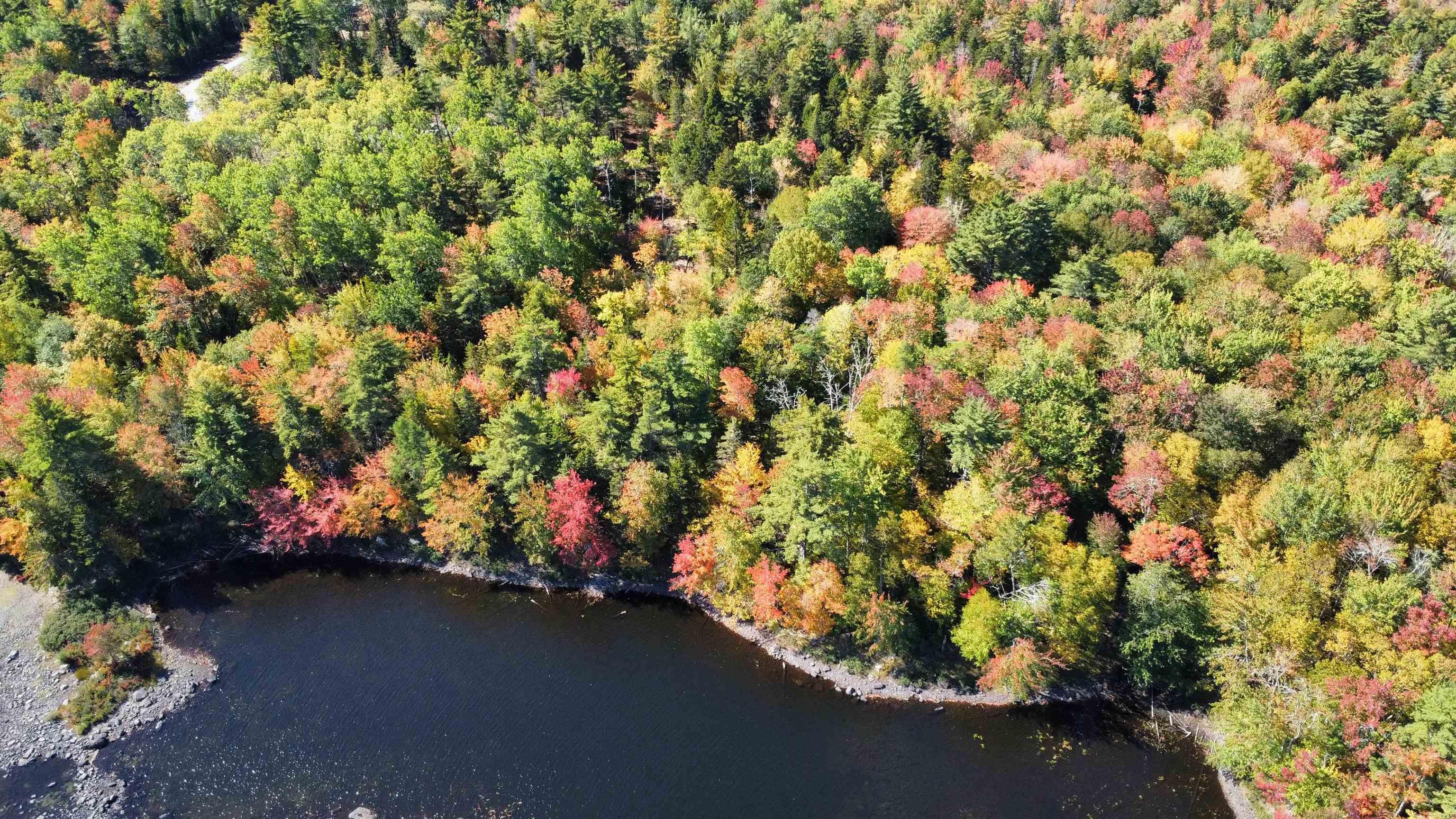 $129,900.00: Lot 3-23 Highway 325, West Clifford