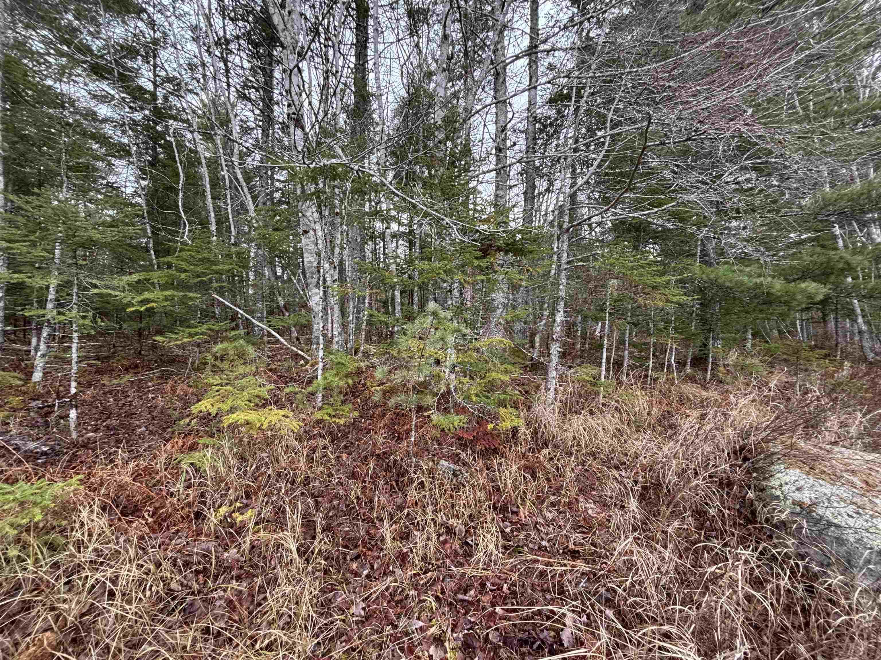 $129,900.00: Lot 3-23 Highway 325, West Clifford