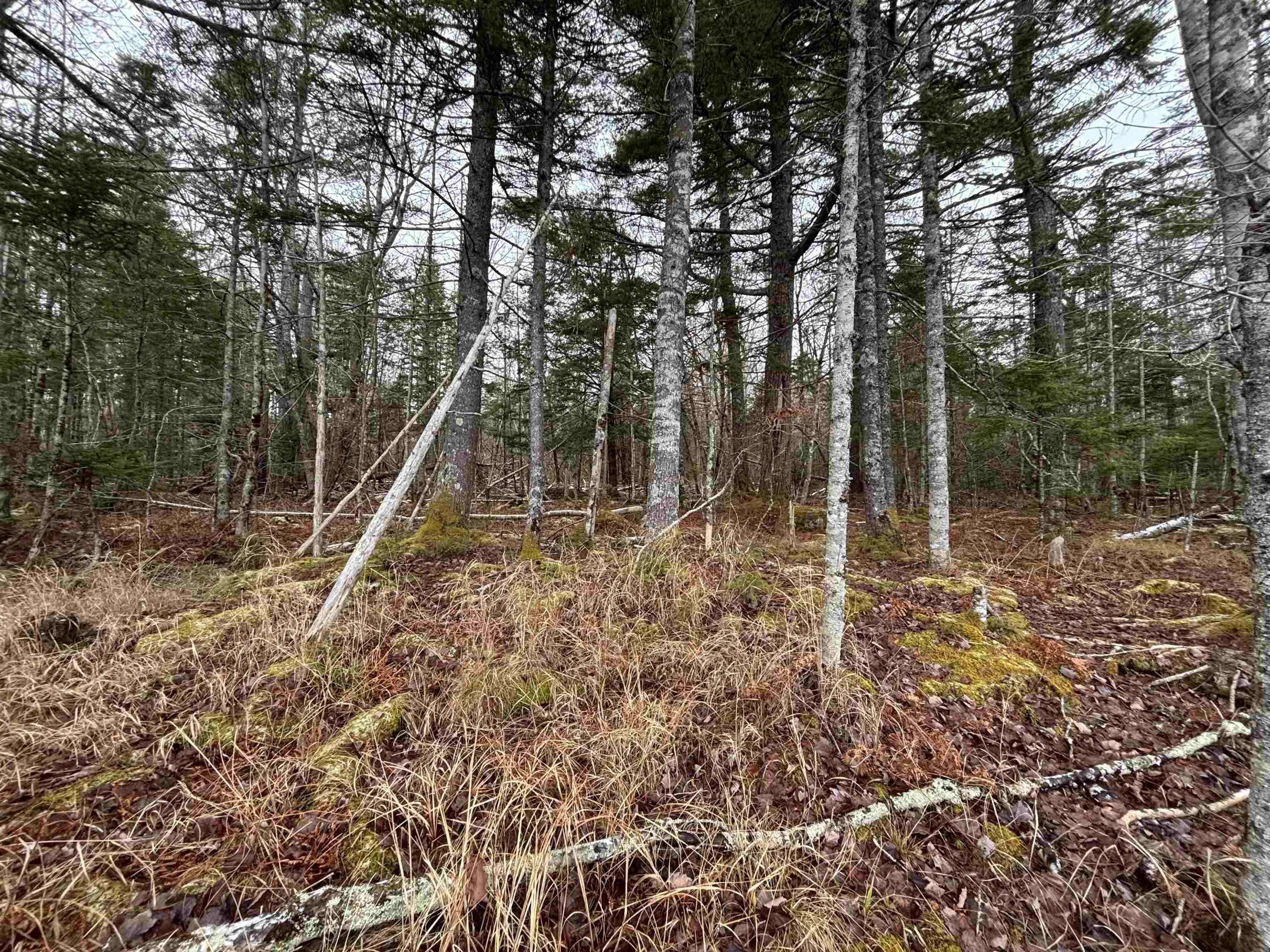 $129,900.00: Lot 3-23 Highway 325, West Clifford