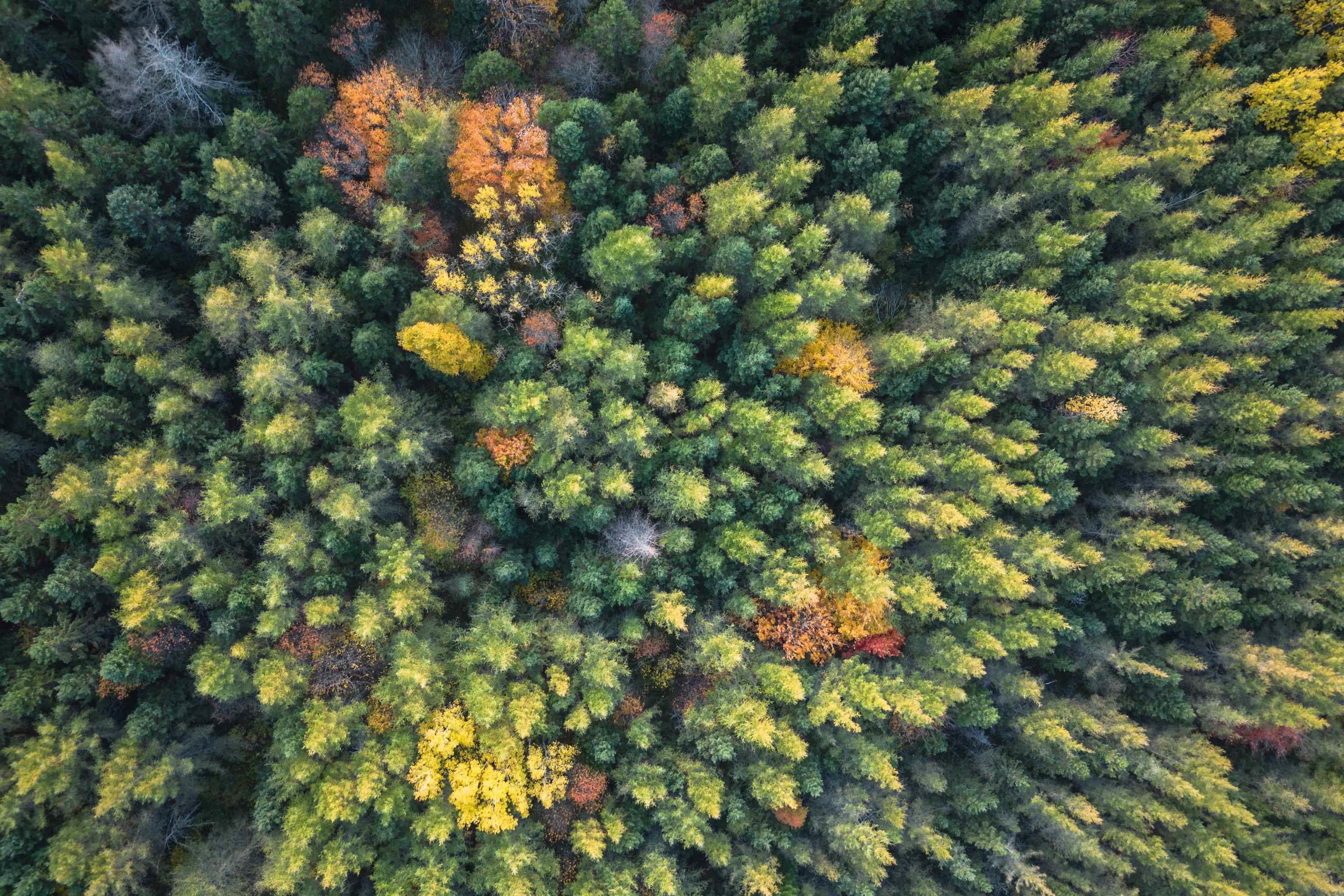 $185,000.00: Lot 1 Highway 19 Highway, Long Point