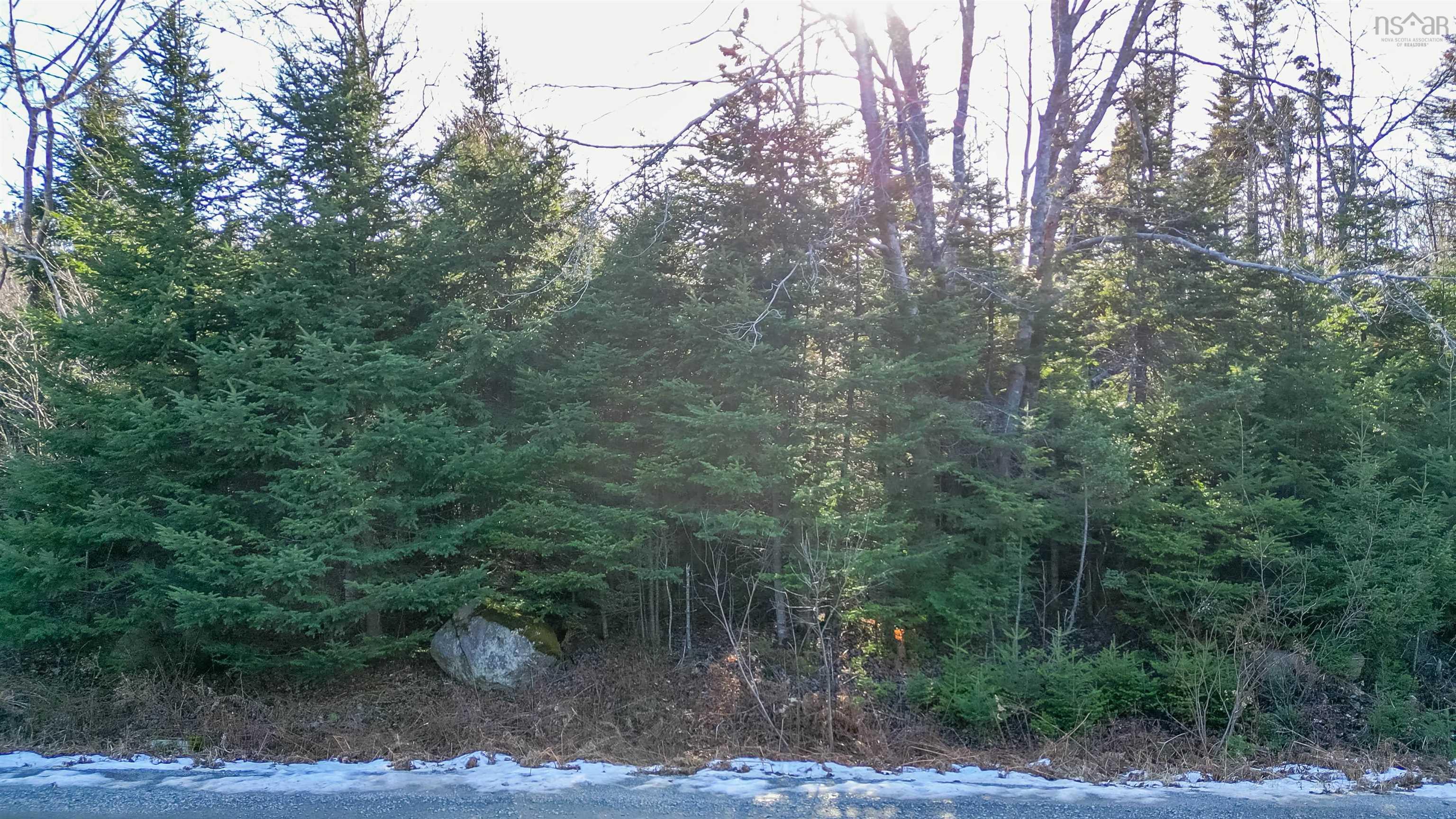 256 Shad Point Parkway, Blind Bay, NS (MLS 202529781)