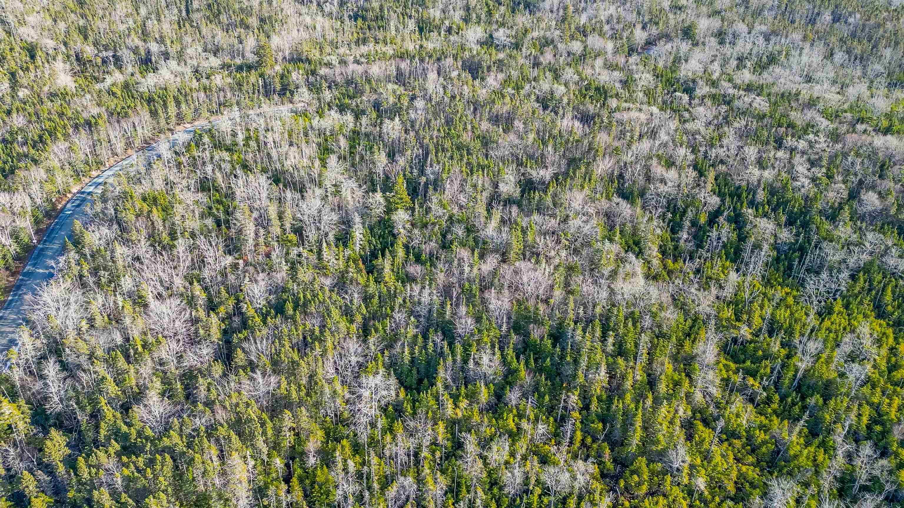 255 Shad Point Parkway, Blind Bay, NS (MLS 202600001)