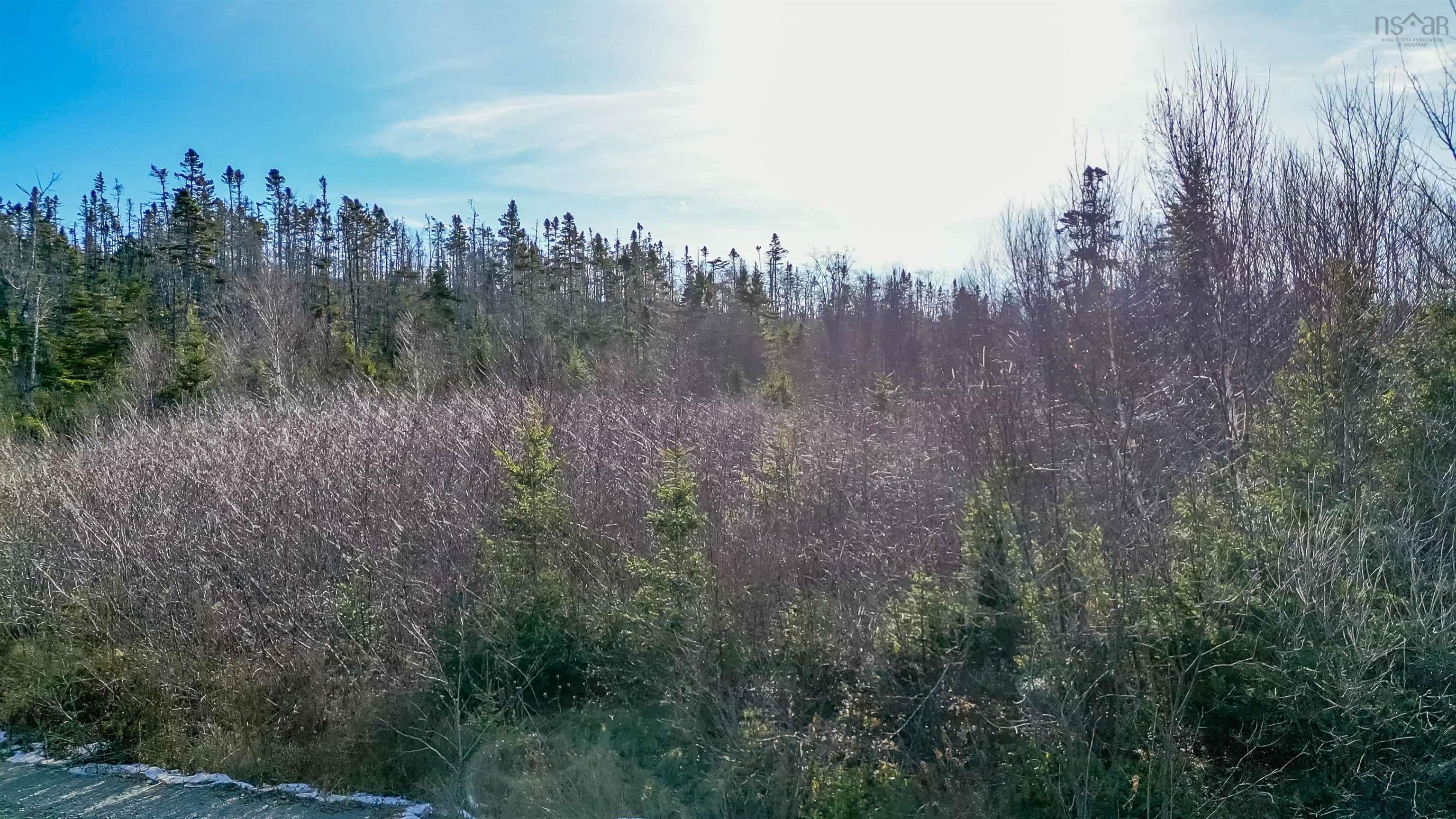 255 Shad Point Parkway, Blind Bay, NS (MLS 202600001)