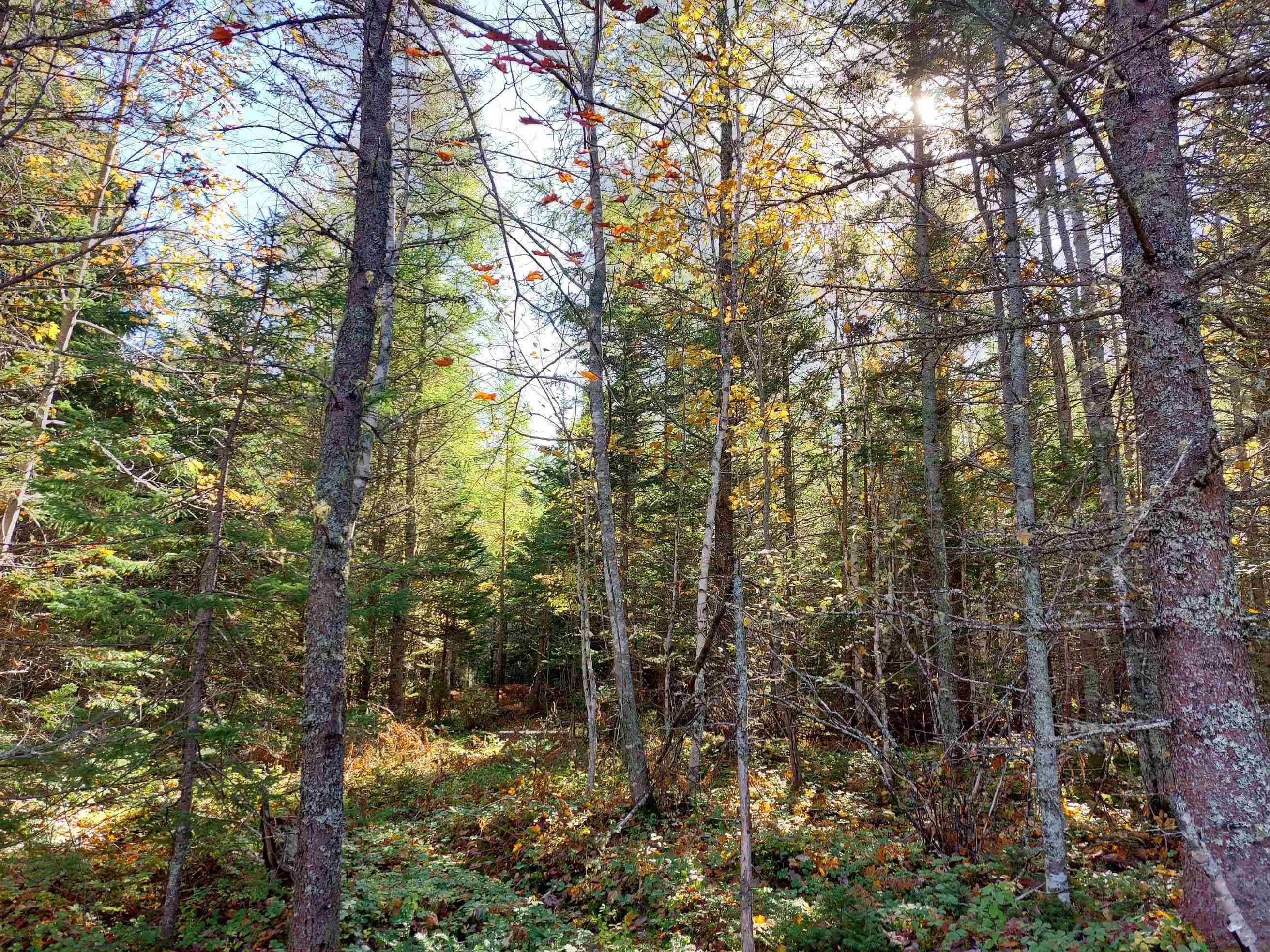 $29,000.00: Lot 25 Beaver Lane, Grantville