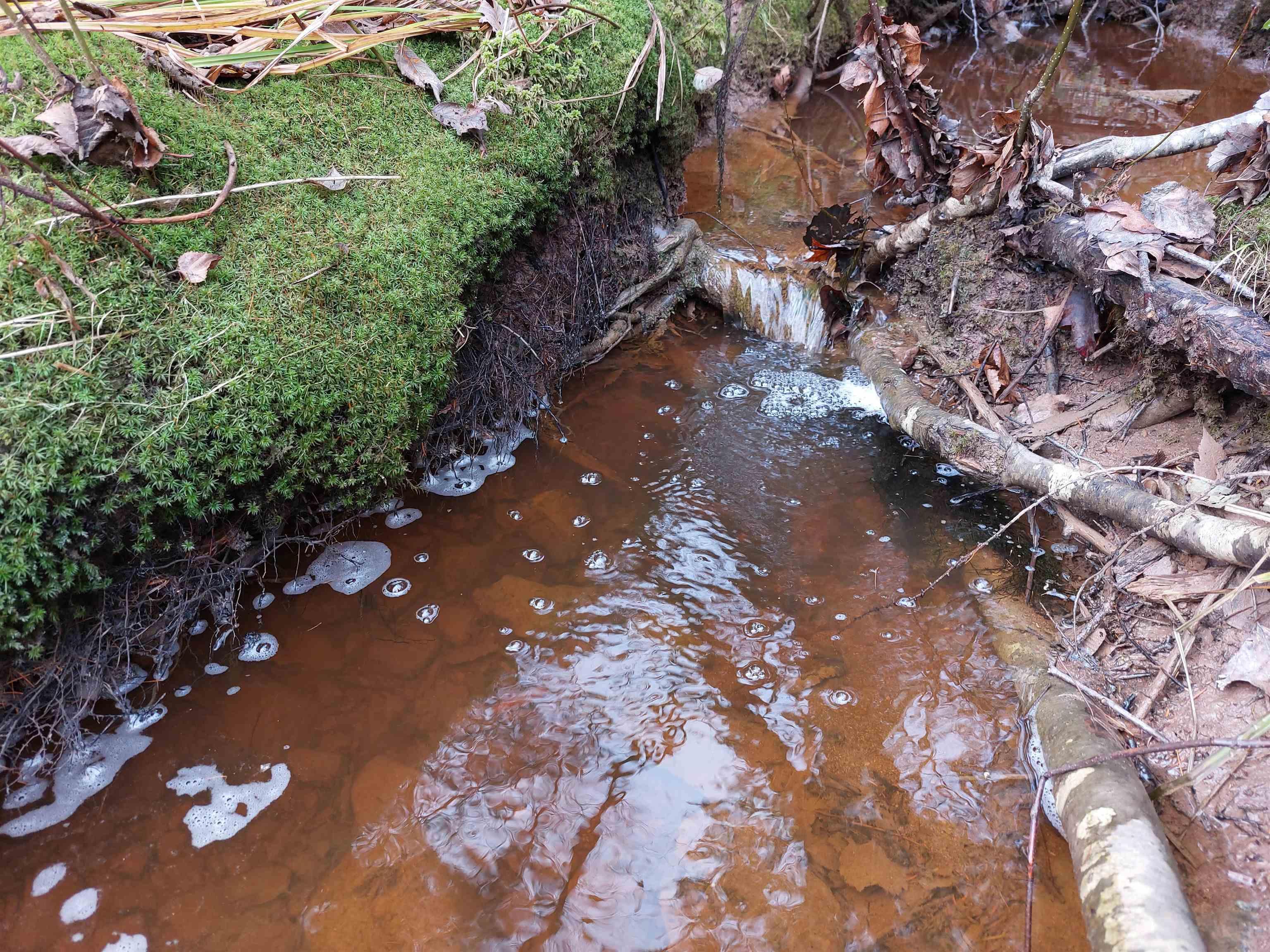 $29,000.00: Lot 25 Beaver Lane, Grantville